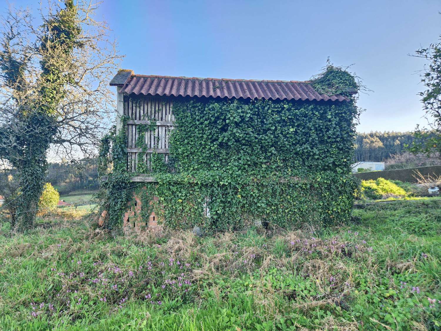 CASA DE PIEDRA PARA REHABILITAR AL LADO DE AMES