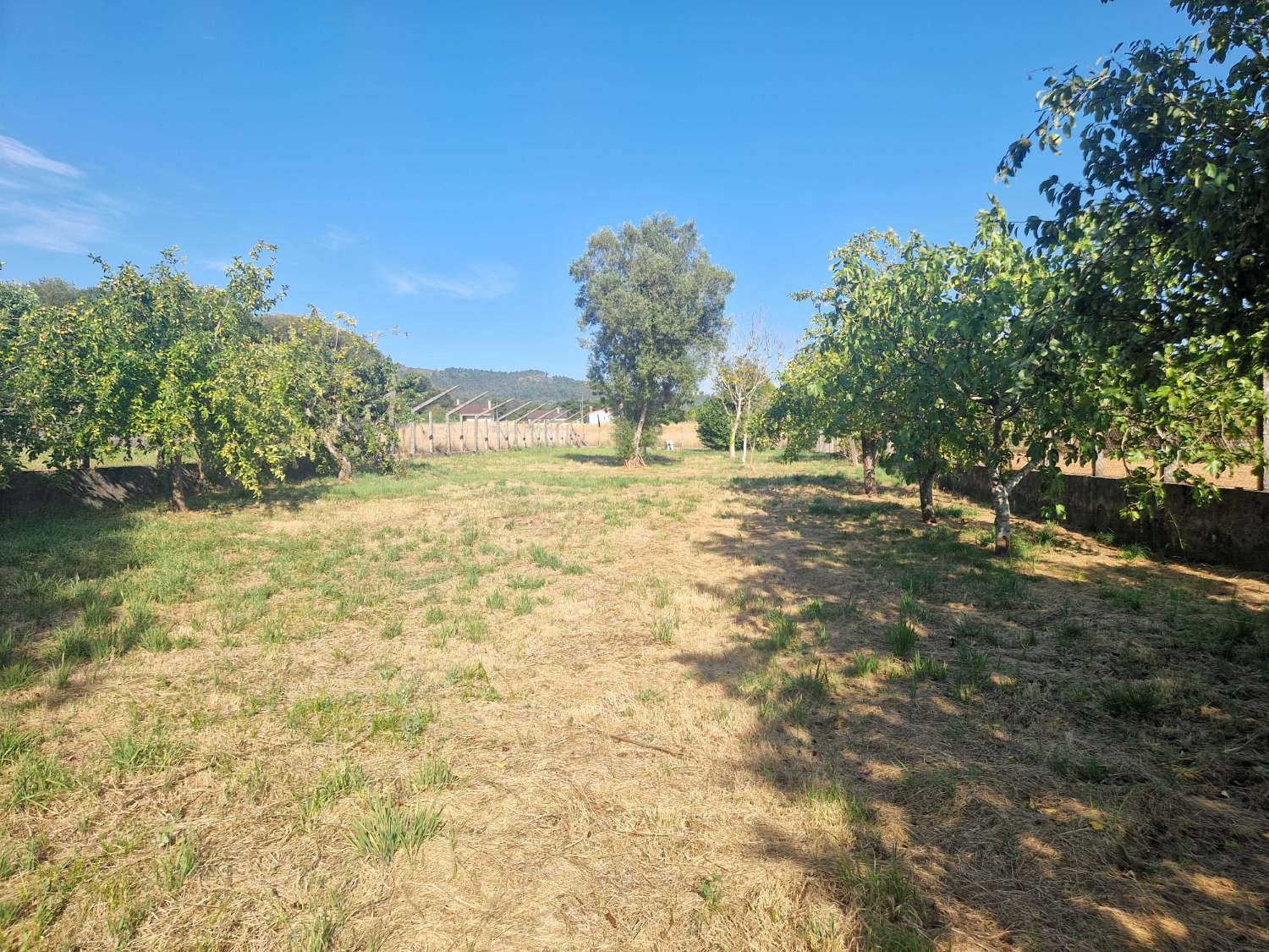 CASA INDEPENDIENTE CON FINCA CERRADA Y ALMACEN EN AMES