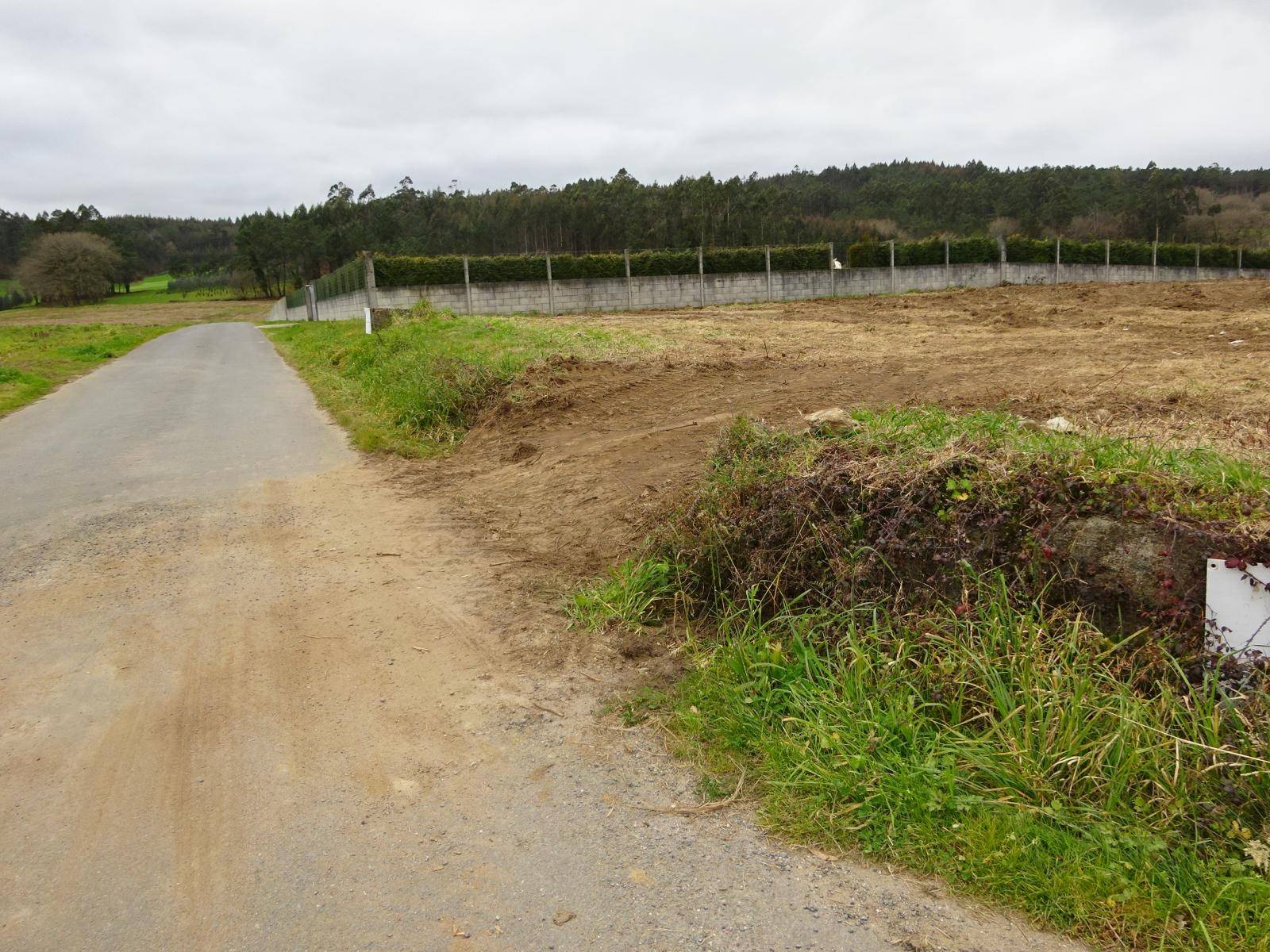 FINCA DIVIDIDA EN 2 PARCELAS ZONA DE TROITOSENDE, A BAÑA