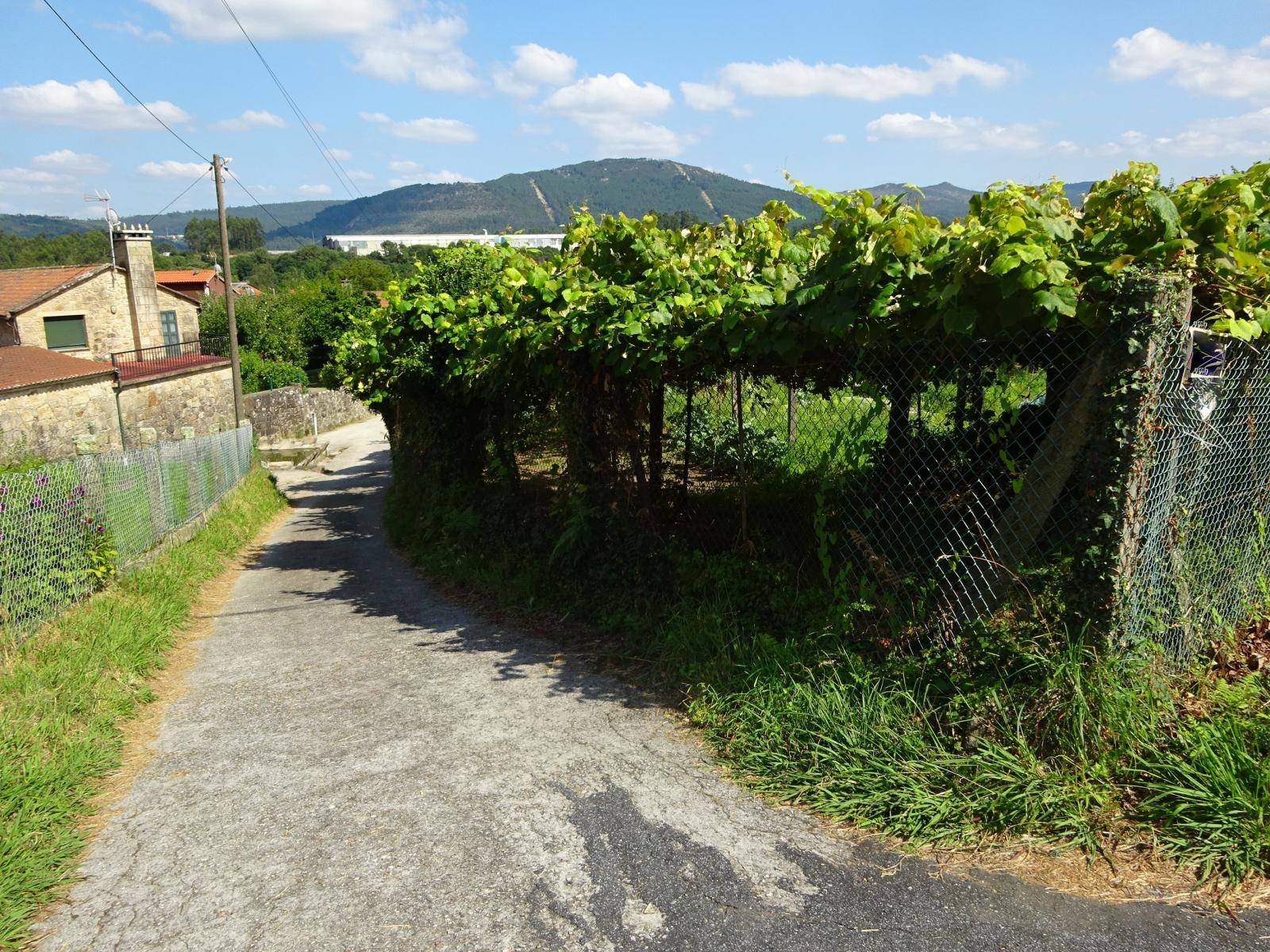 FINCA EDIFICABLE Y GALPON ALMACEN ZONA DE ROIS