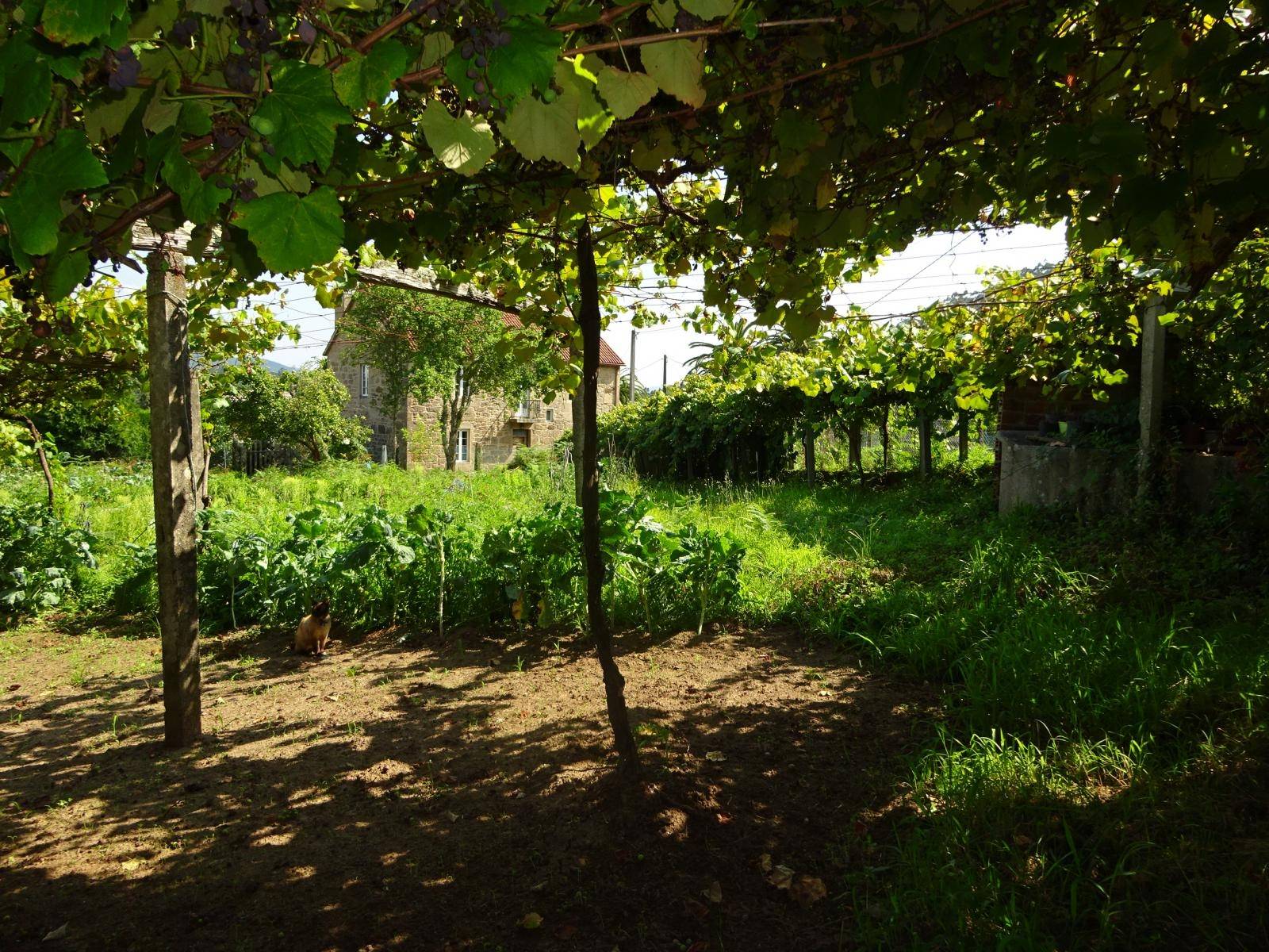 FINCA EDIFICABLE Y GALPON ALMACEN ZONA DE ROIS