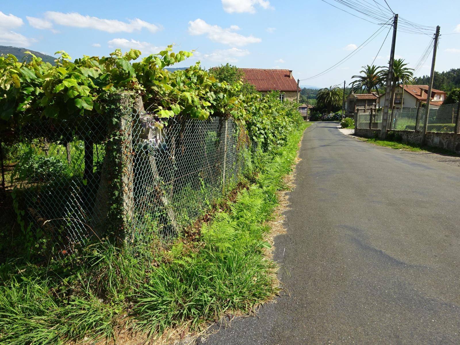 FINCA EDIFICABLE Y GALPON ALMACEN ZONA DE ROIS