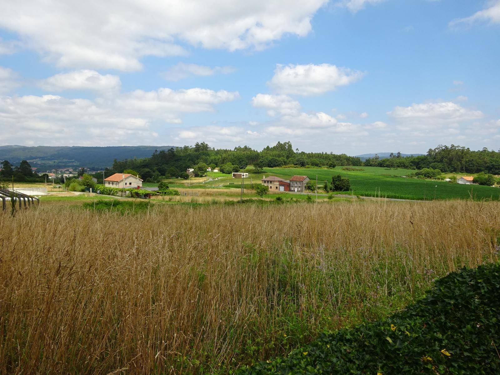 Terrain-à-bâtir en vente à Brión