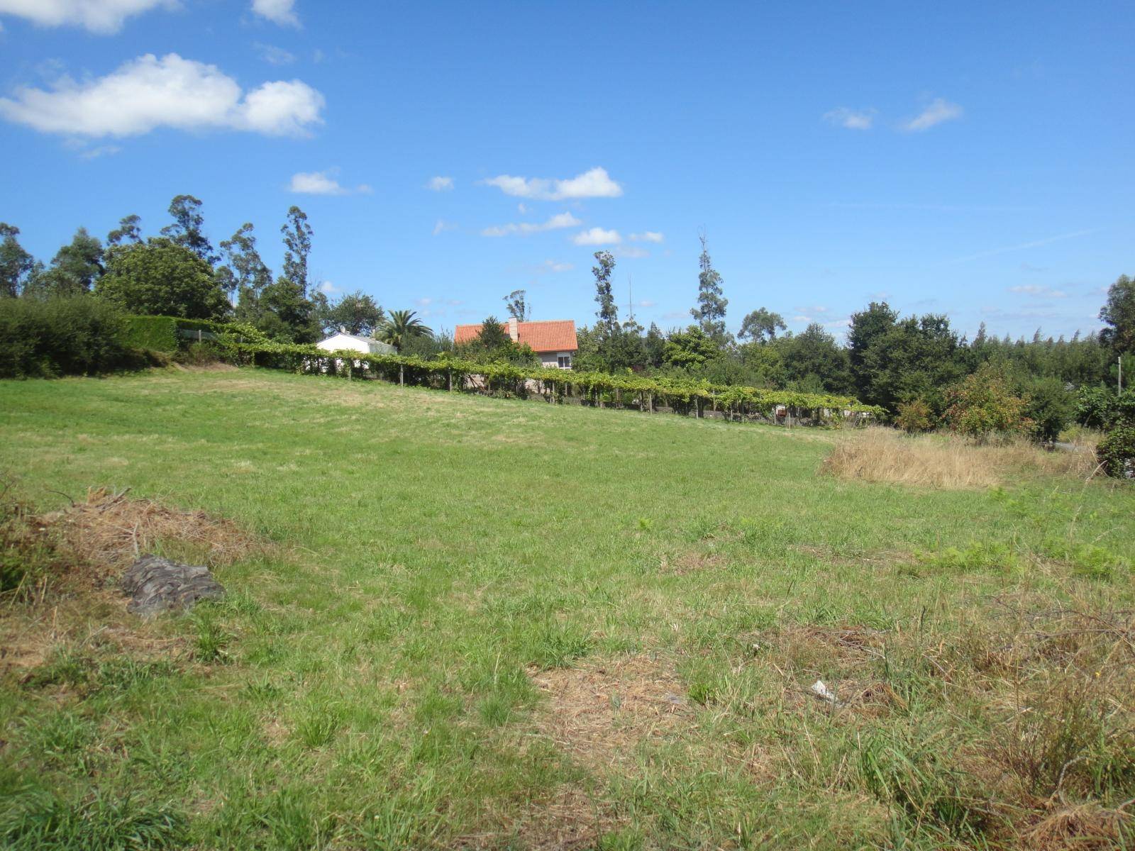 FINCA EDIFICABLE CON PRECIOSAS VISTAS, ZONA DE GRONZO, BRION