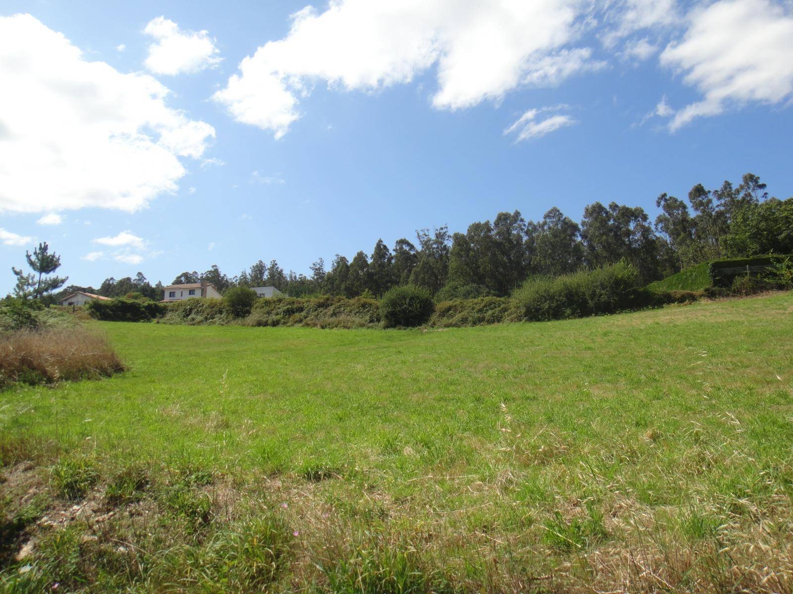 FINCA EDIFICABLE CON PRECIOSAS VISTAS, ZONA DE GRONZO, BRION