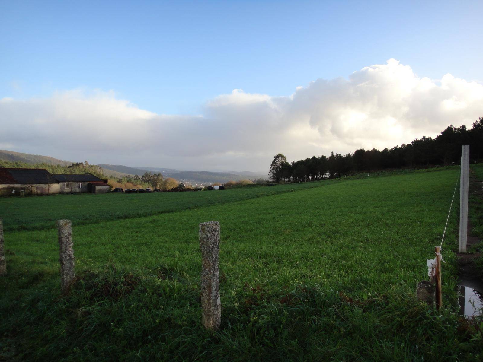 Terrain-à-bâtir en vente à Ames