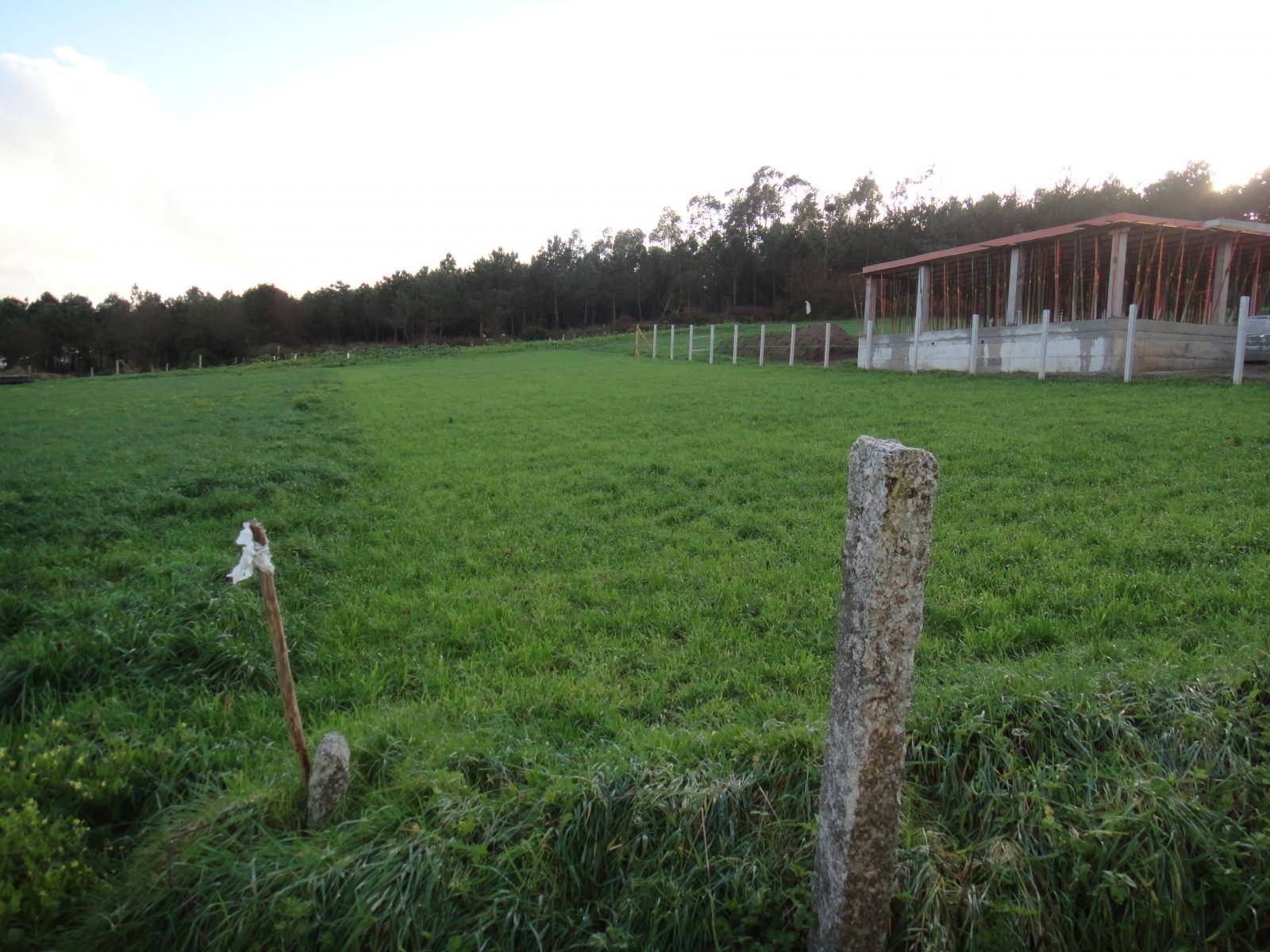 FINCA EDIFICABLE ZONA DE TAPIA