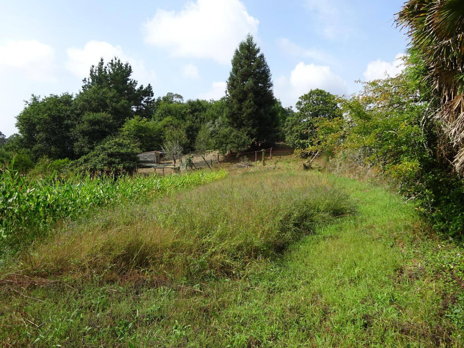 CASA DE PIEDRA CON FINCA SEGREGABLE ZONA TRASMONTE, AMES