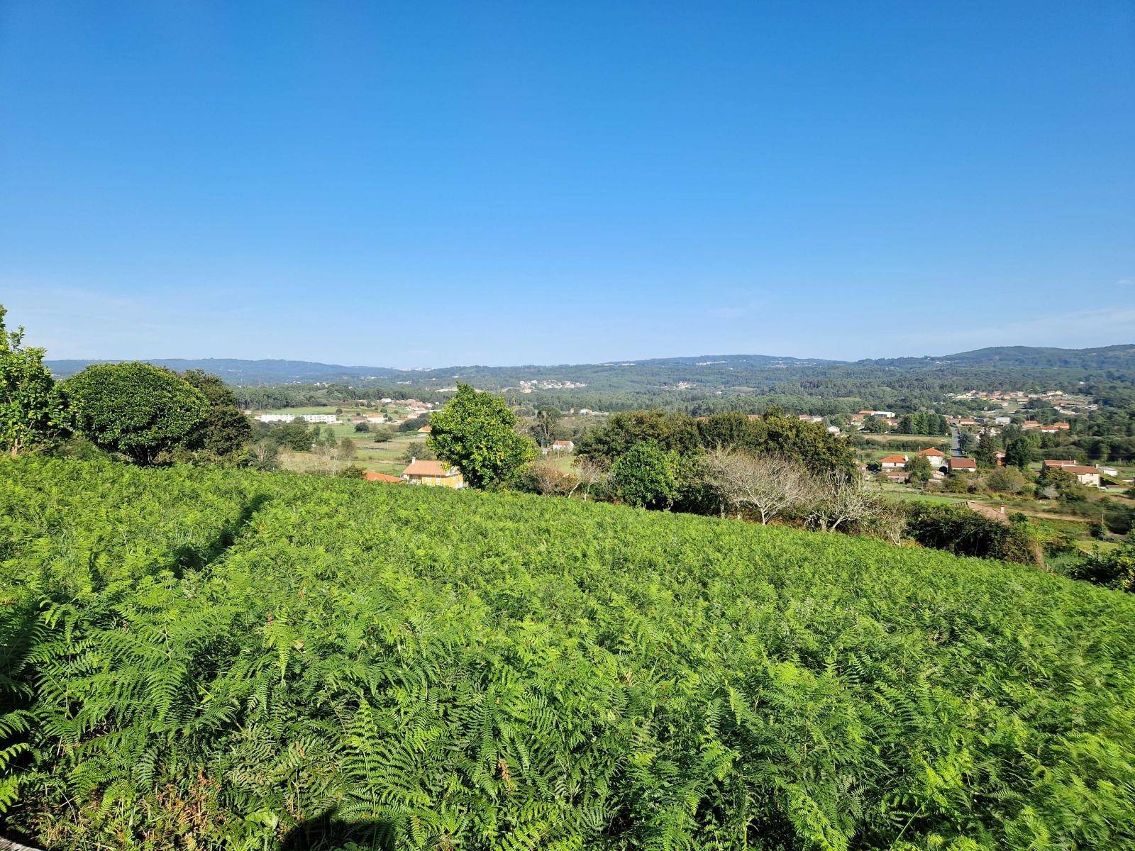 FINCA CON PRECIOSAS VISTAS EN BASTAVALES, BRION