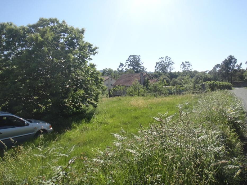 FINCA EDIFICABLE AL LADO DE BERTAMIRANS