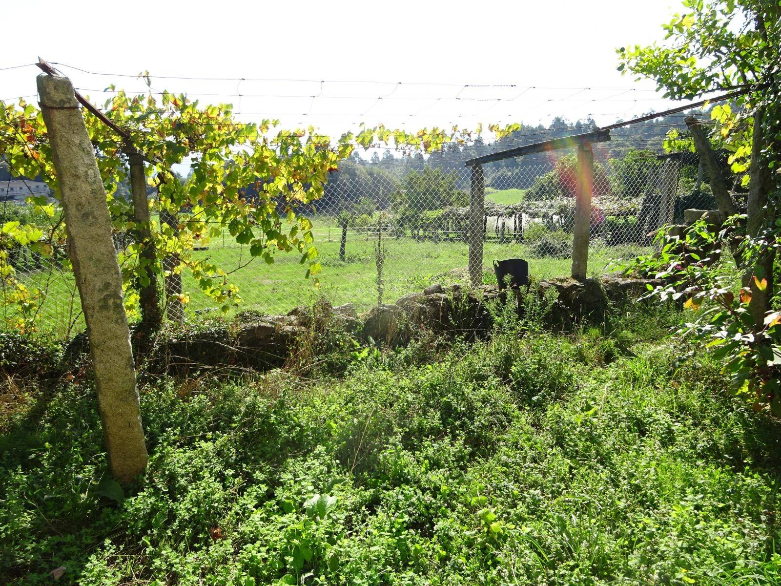 CASA DE PIEDRA CON ALMACEN Y TERRENO ZONA RARIS, TEO