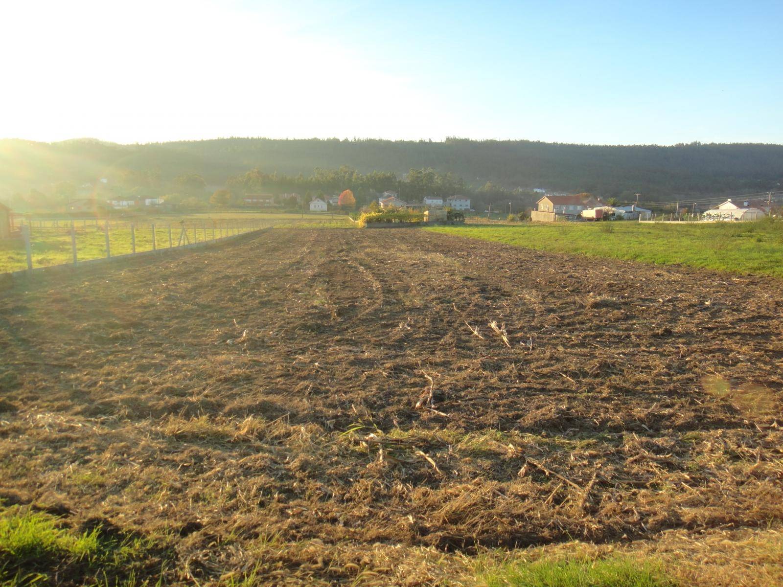 Terrain-à-bâtir en vente à Ames