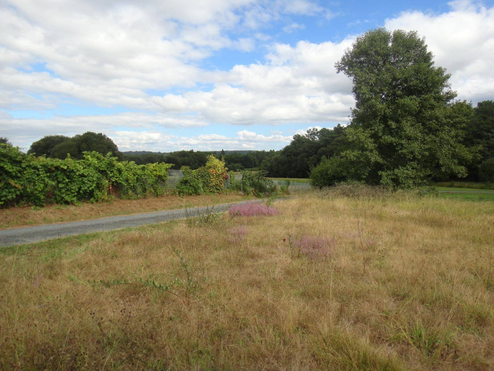 Building area for sale in Brión