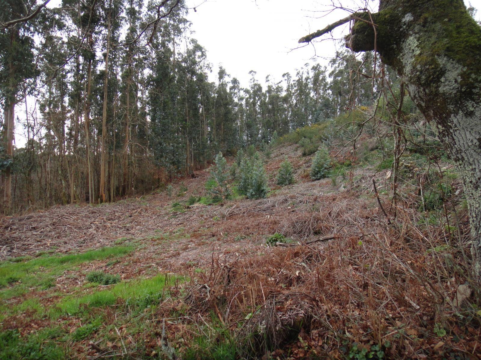 Terrain-à-bâtir en vente à Brión