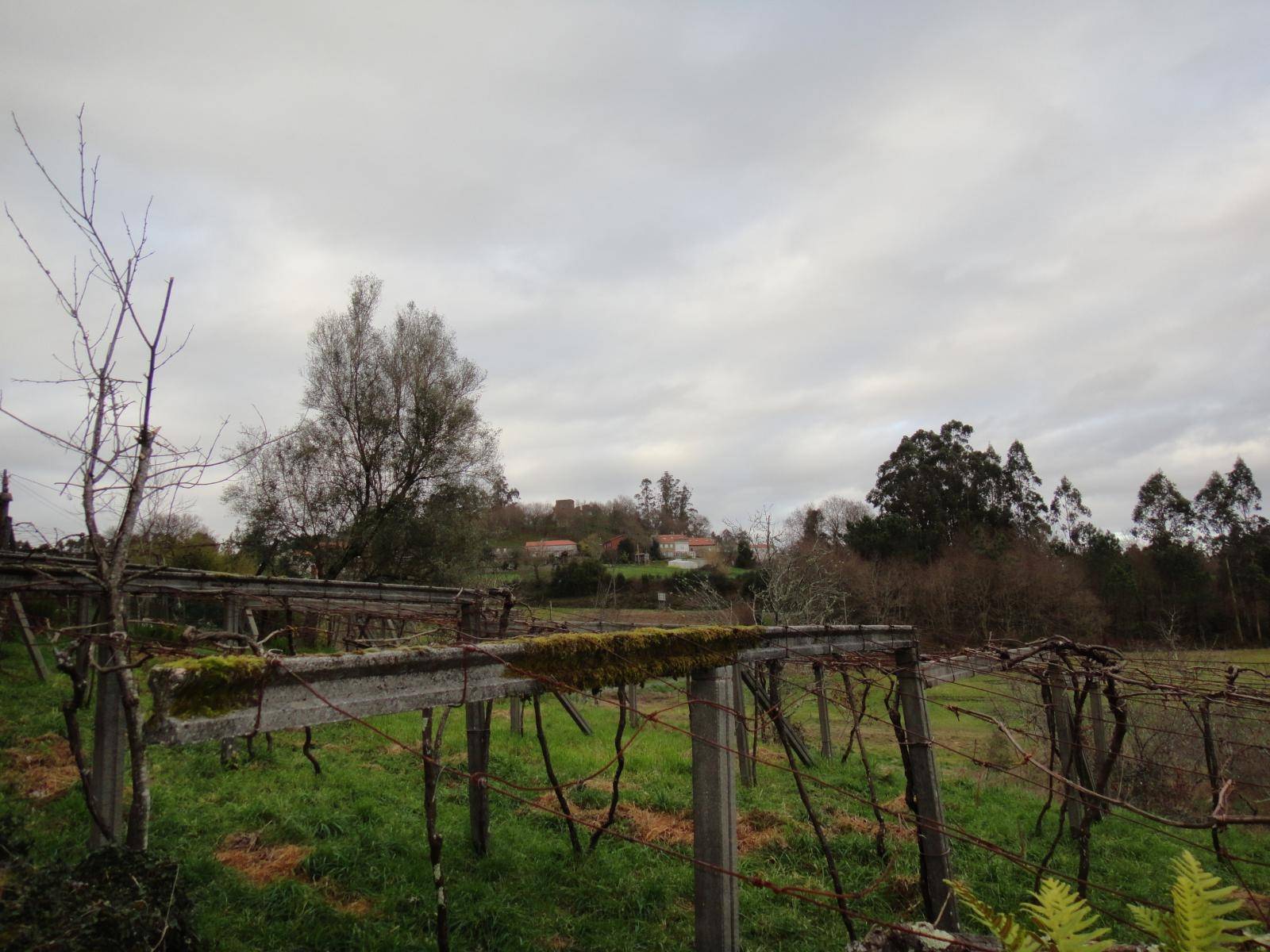 FINCA EDIFICABLE ZONA TRANQUILA DE BRION