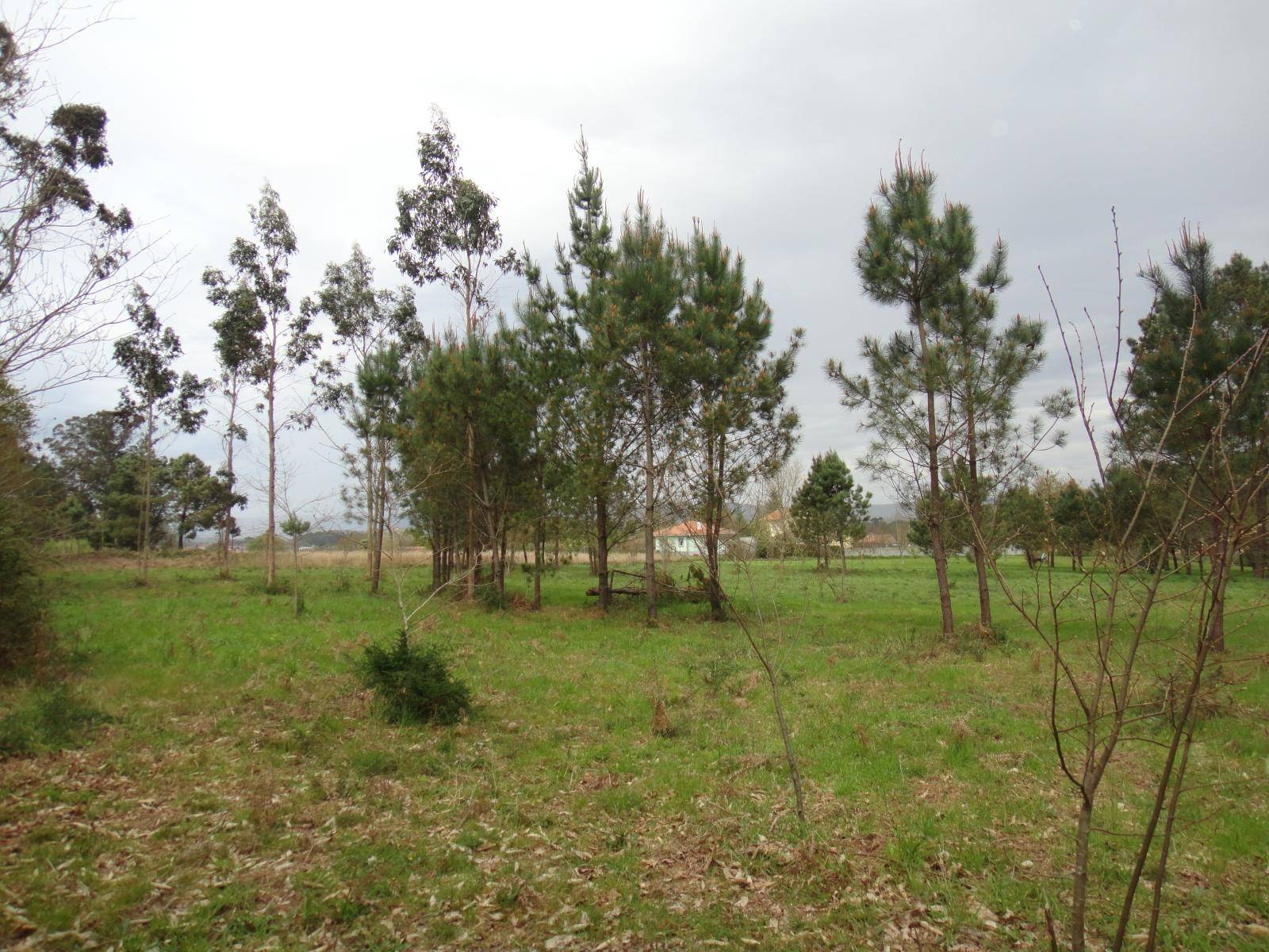 Building area for sale in Brión