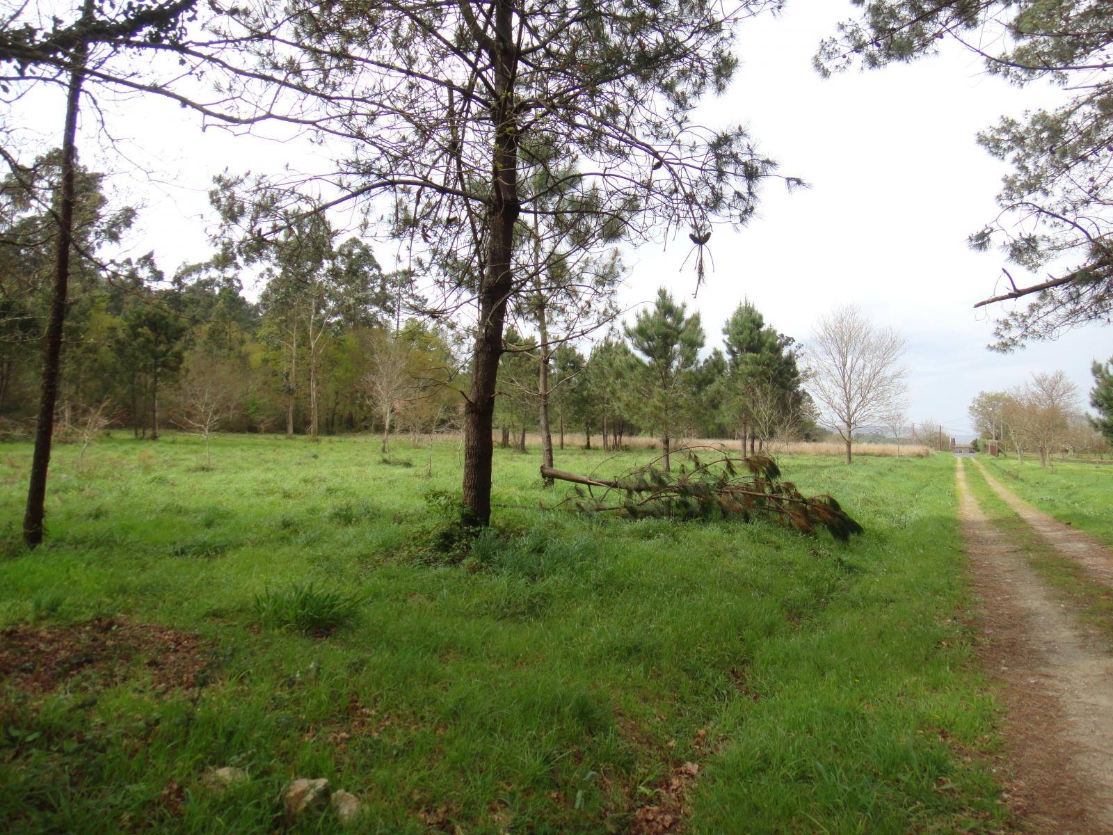 Terrain-à-bâtir en vente à Brión