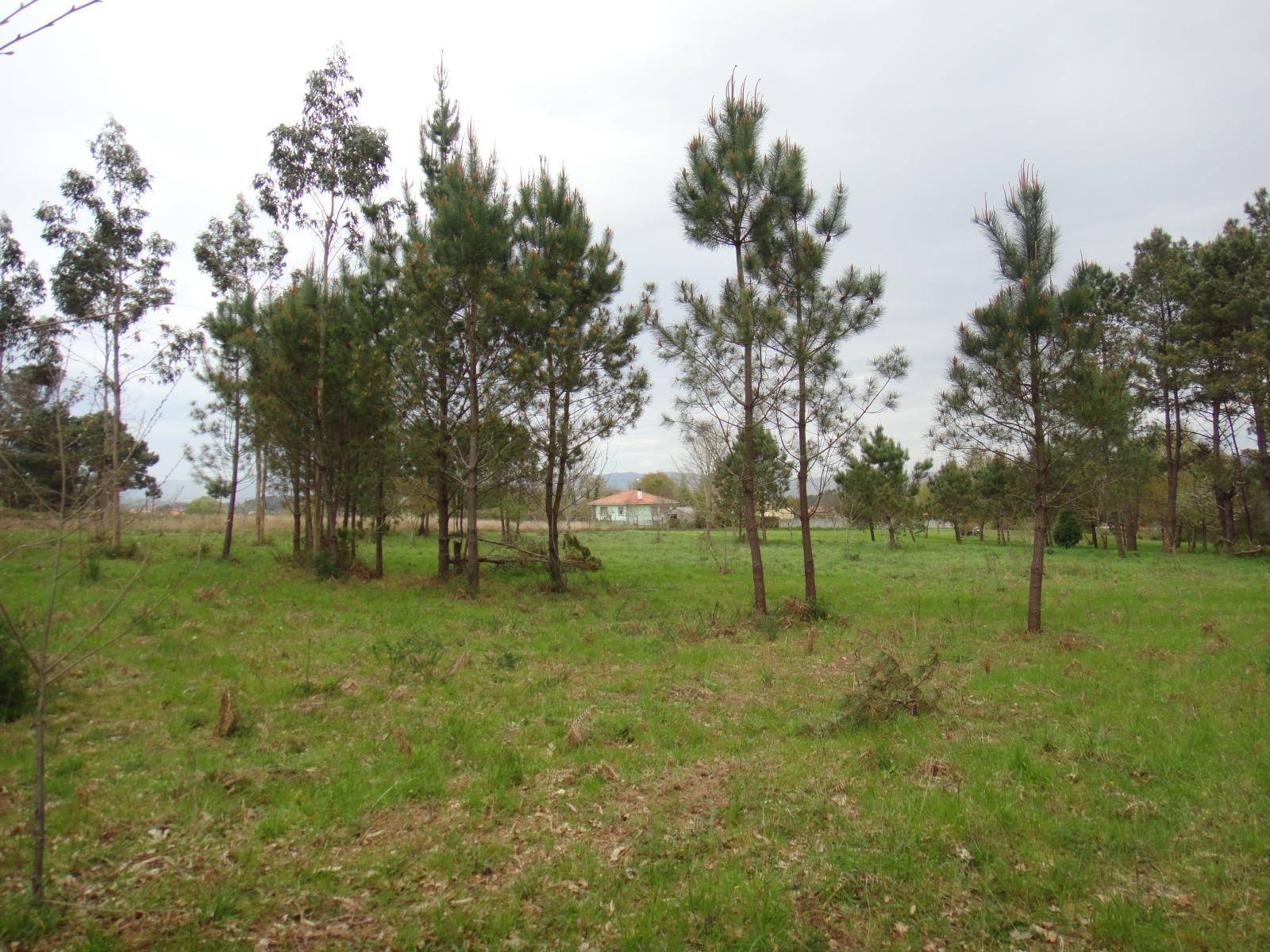 Building area for sale in Brión