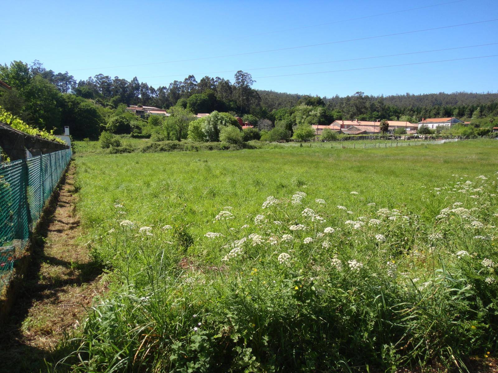 Terrain-à-bâtir en vente à Ames