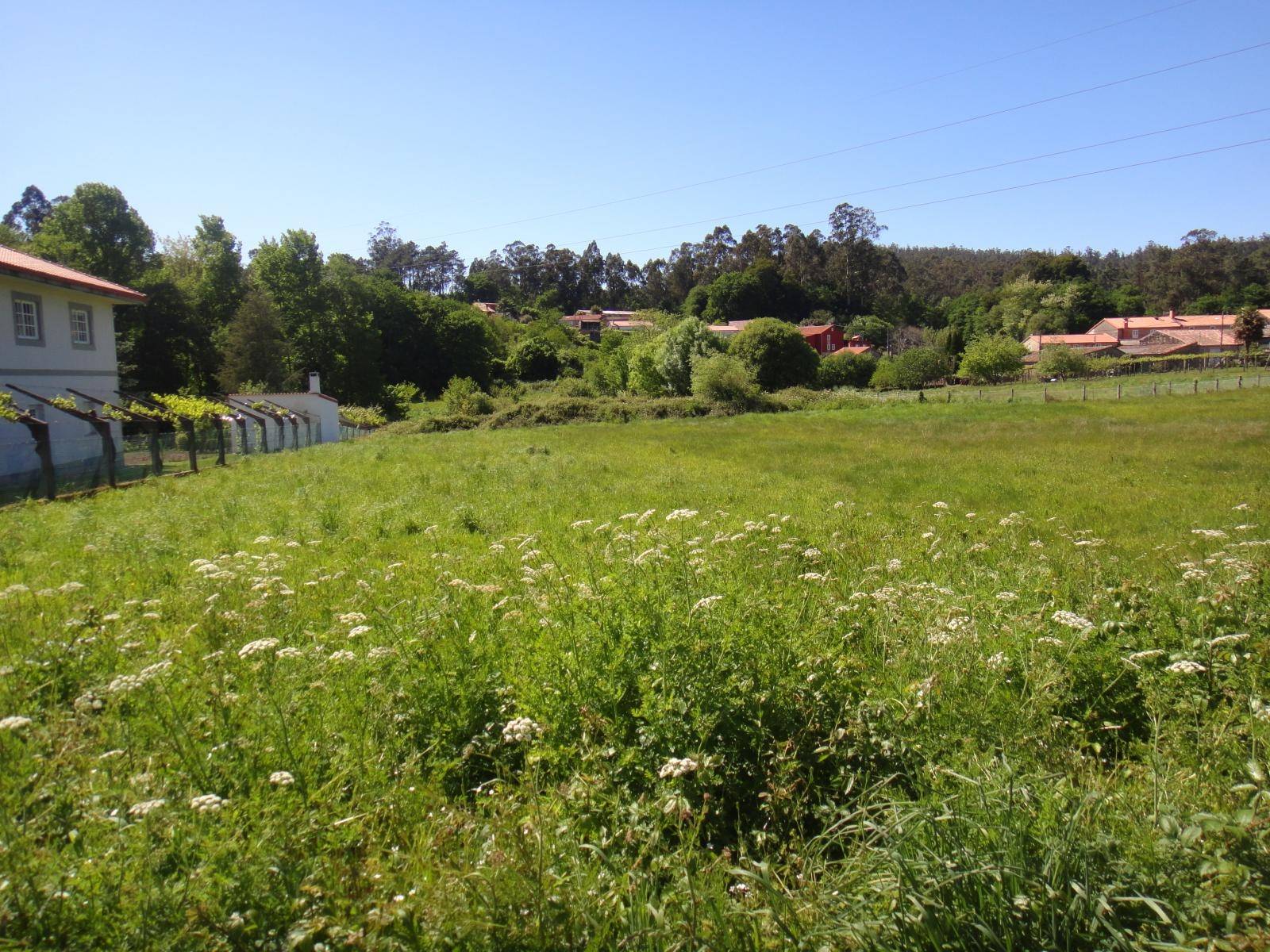 FINCA EDIFICABLE AL LADO DE BERTAMIRANS