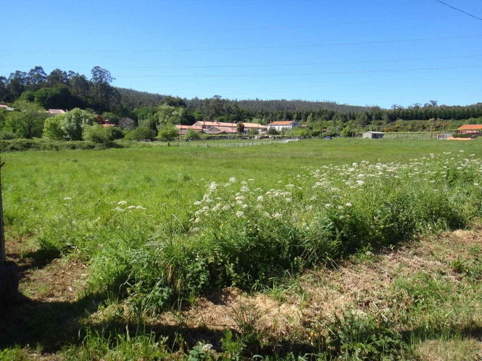 Terrain-à-bâtir en vente à Ames