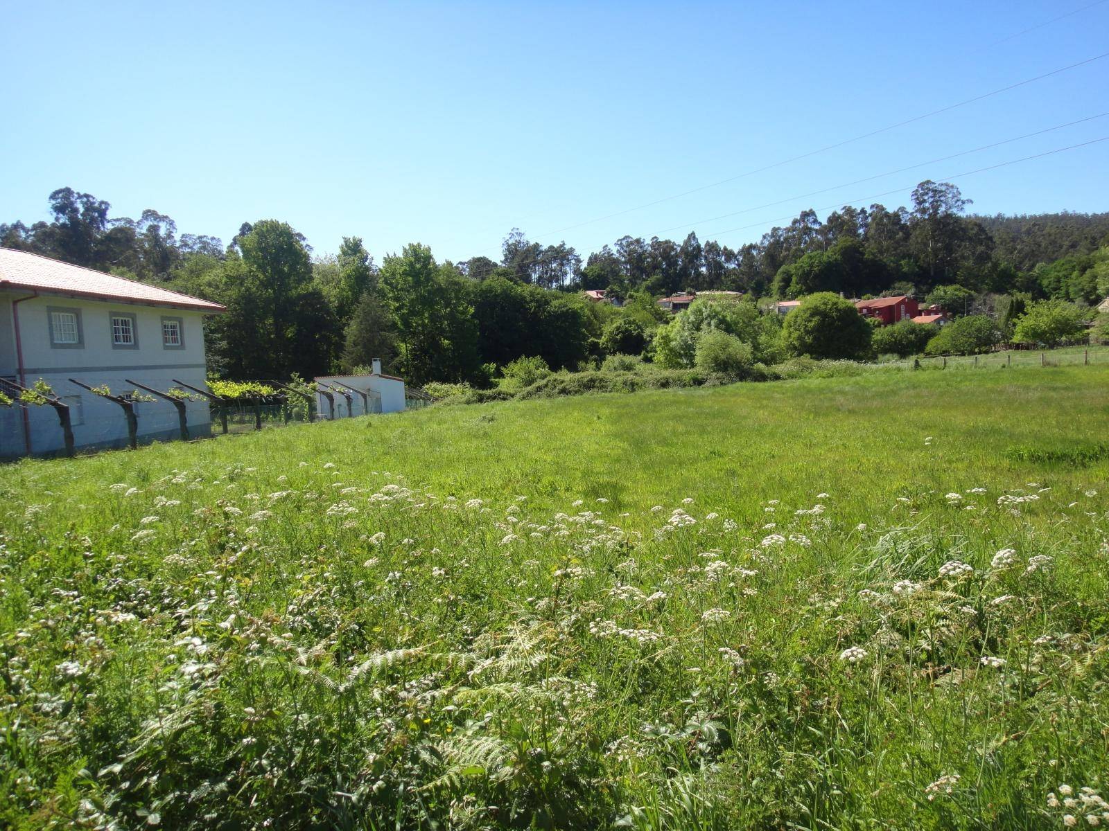 FINCA EDIFICABLE AL LADO DE BERTAMIRANS