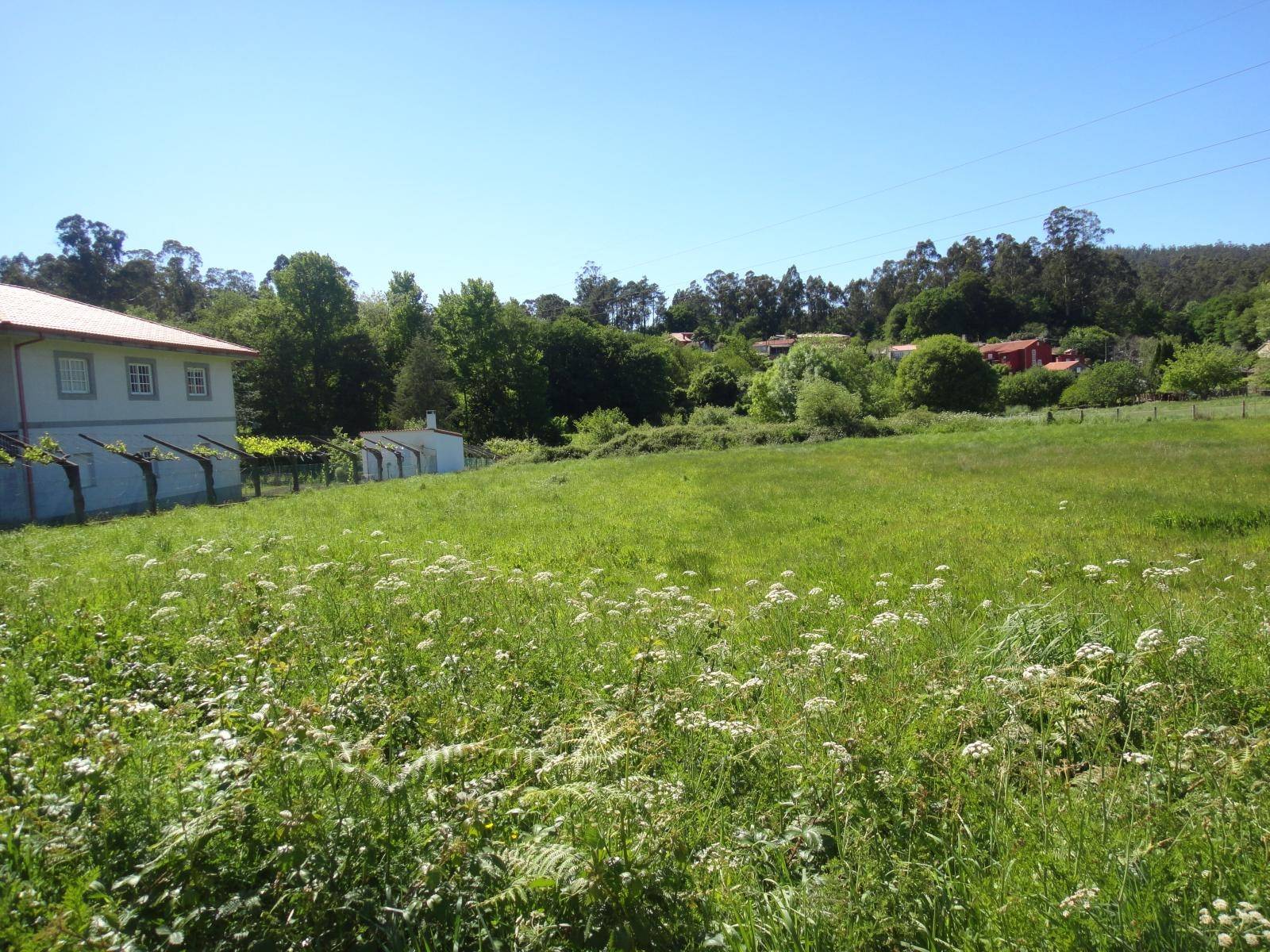 Byggnadsområde till salu i Ames
