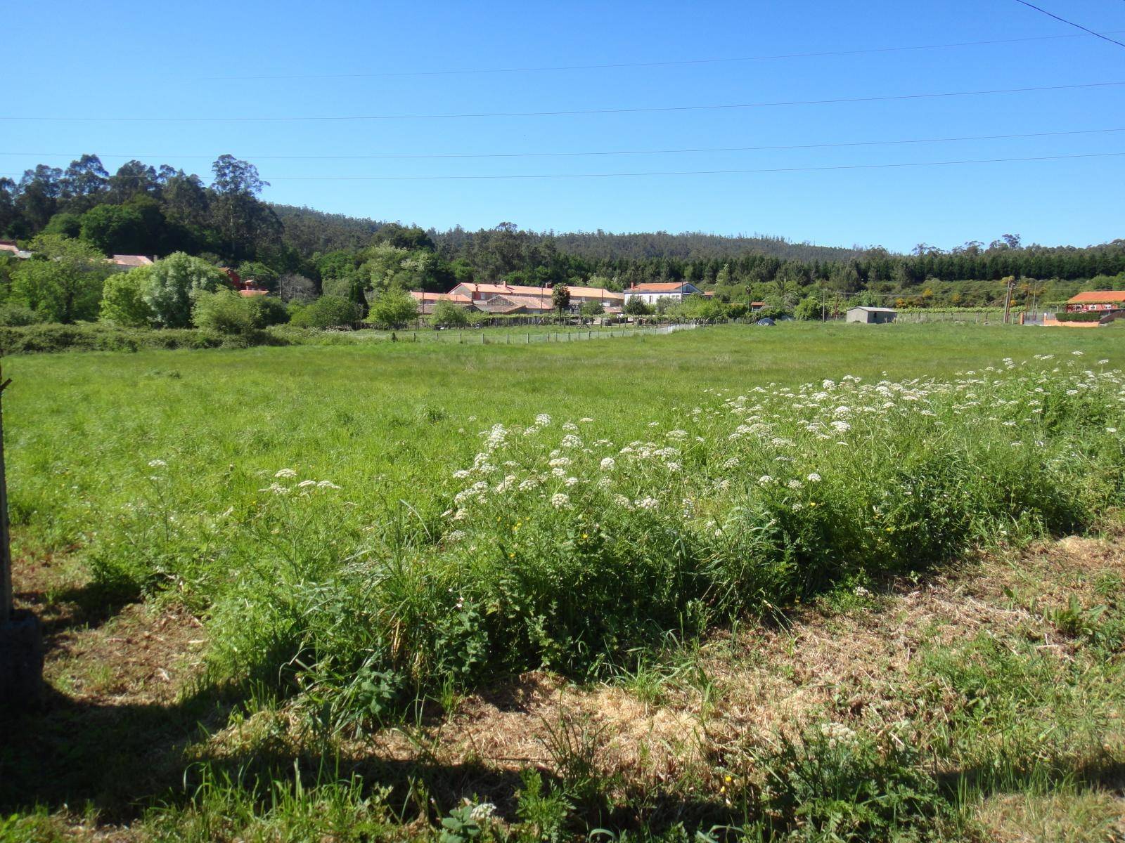 Byggnadsområde till salu i Ames