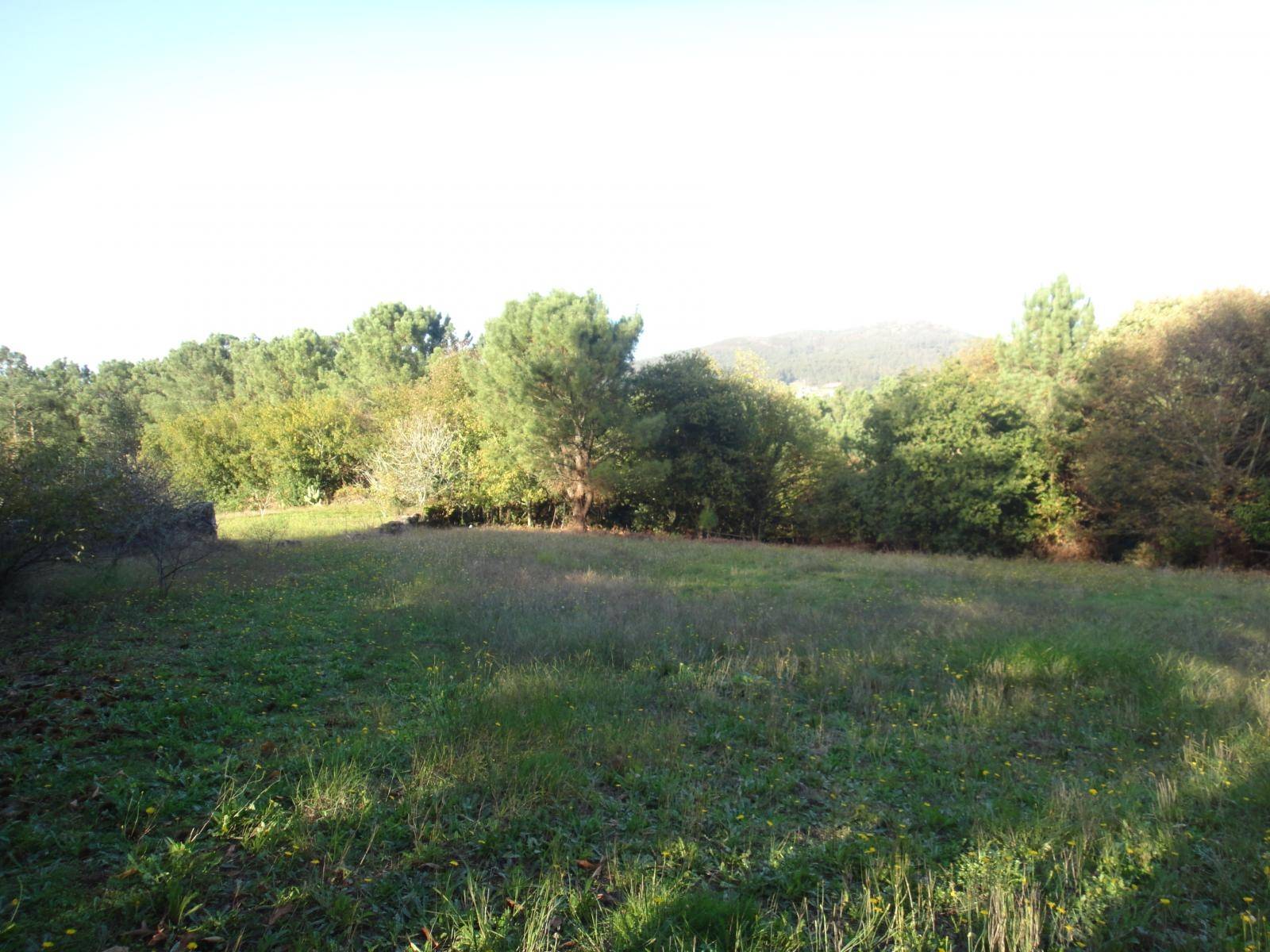 Casa in vendita a Noia