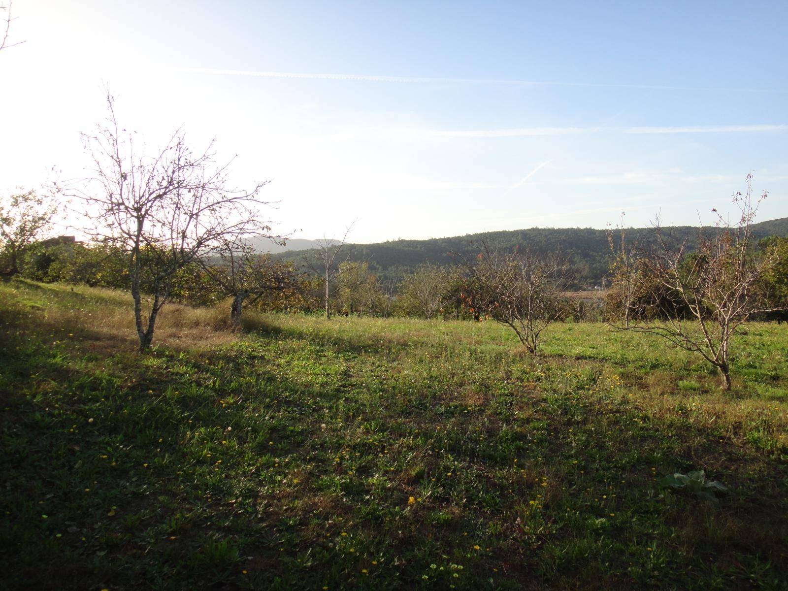 Maison en vente à Noia