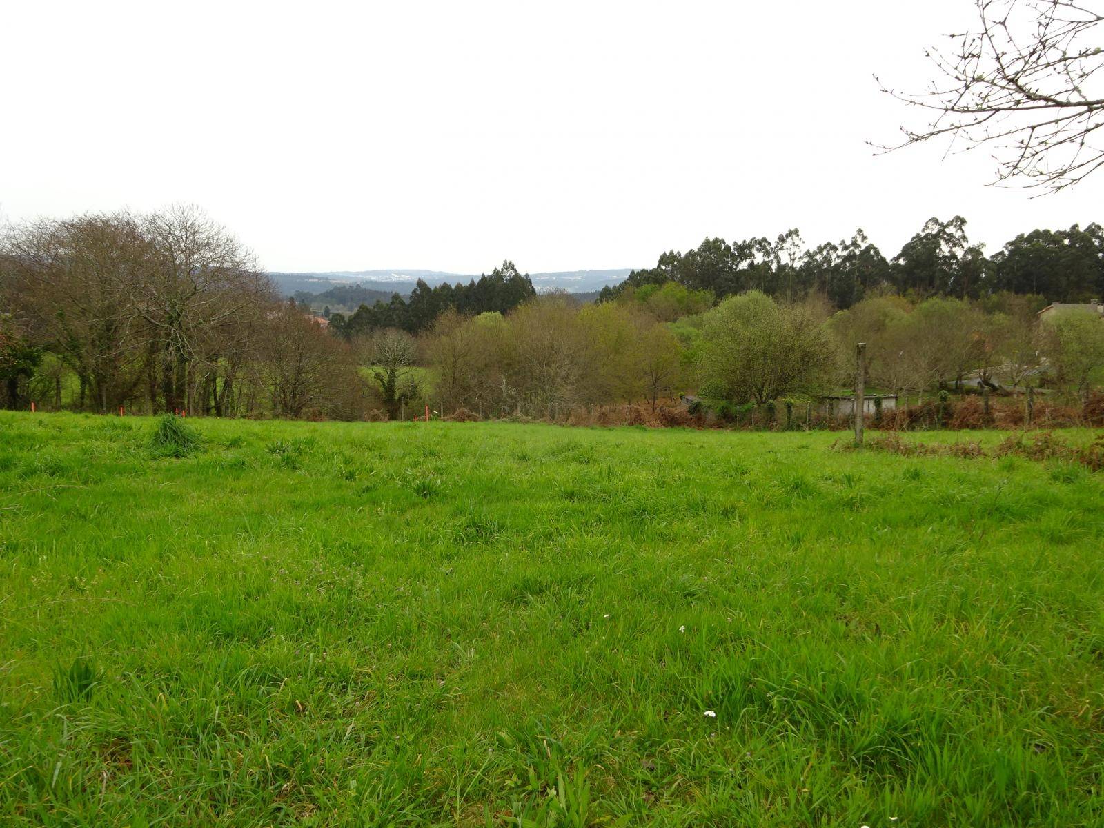 FINCA EDIFICABLE Y CON VISTAS EN ZONA DE BRION