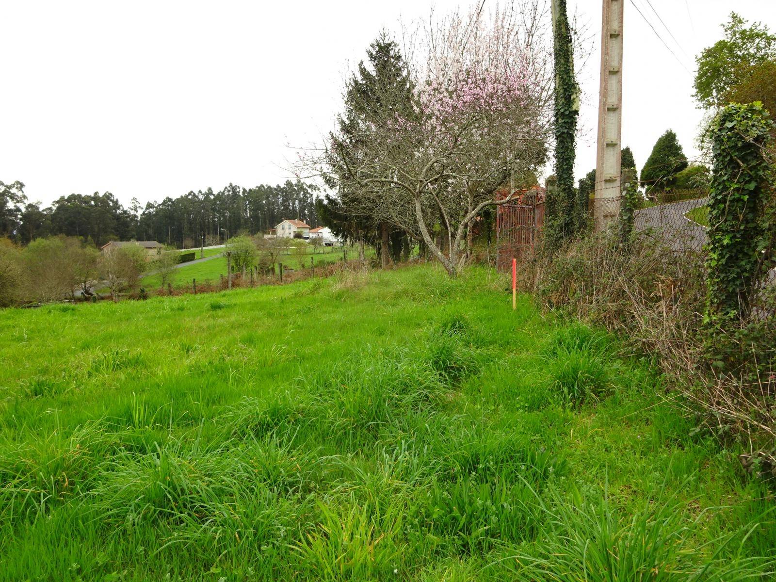 Terrain-à-bâtir en vente à Brión