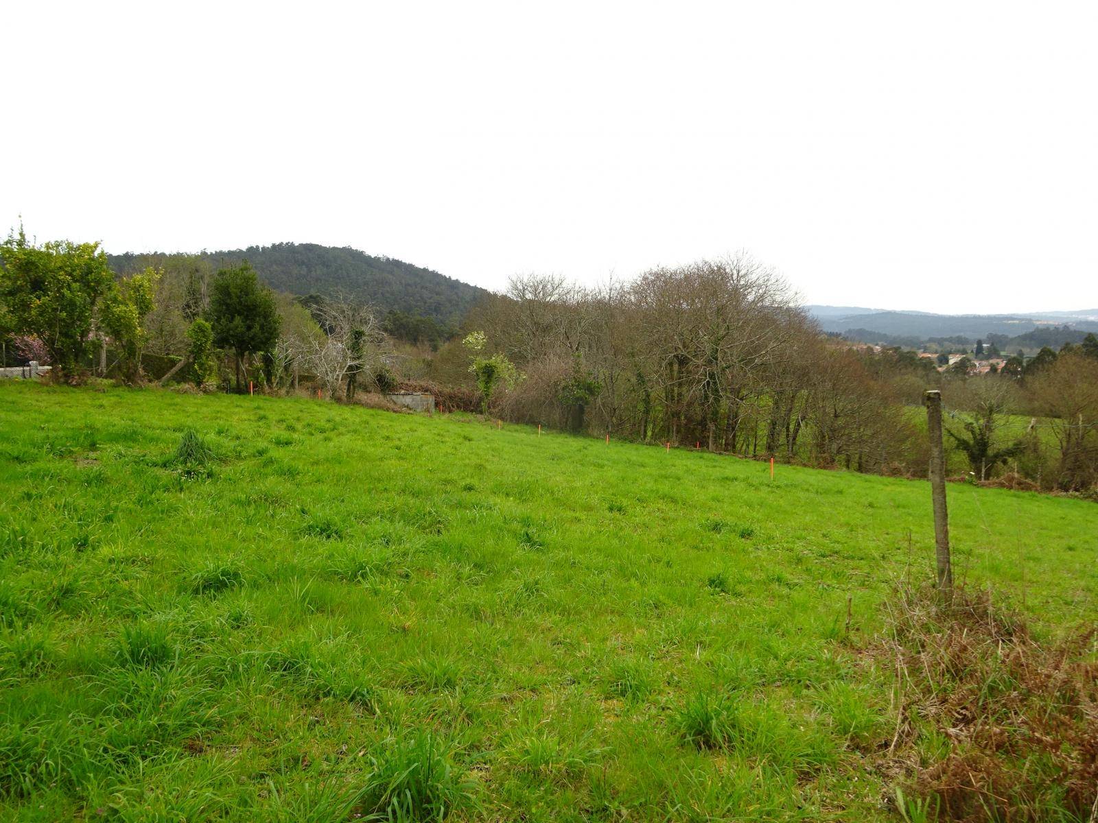 FINCA EDIFICABLE Y CON VISTAS EN ZONA DE BRION