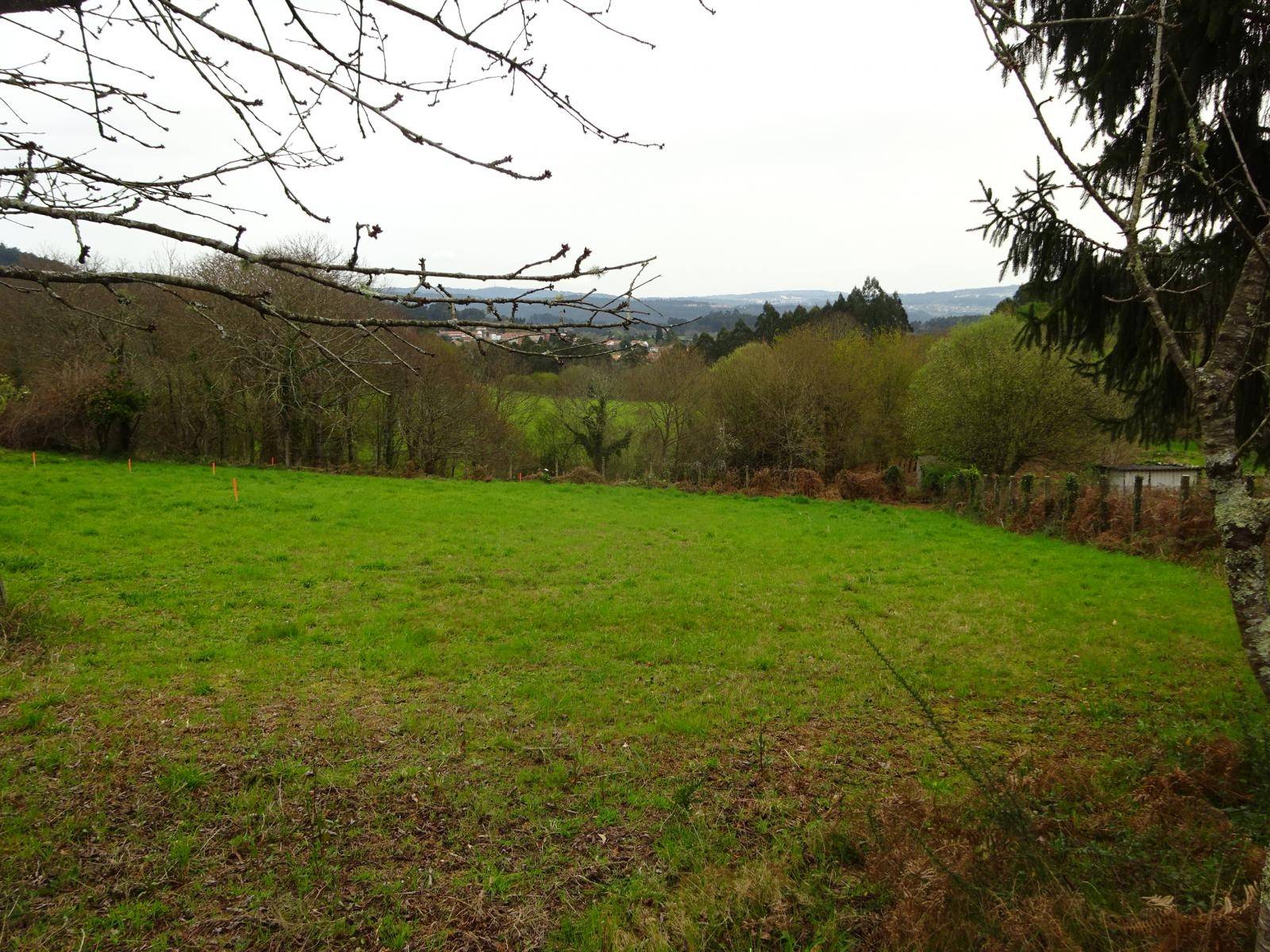 FINCA EDIFICABLE Y CON VISTAS EN ZONA DE BRION