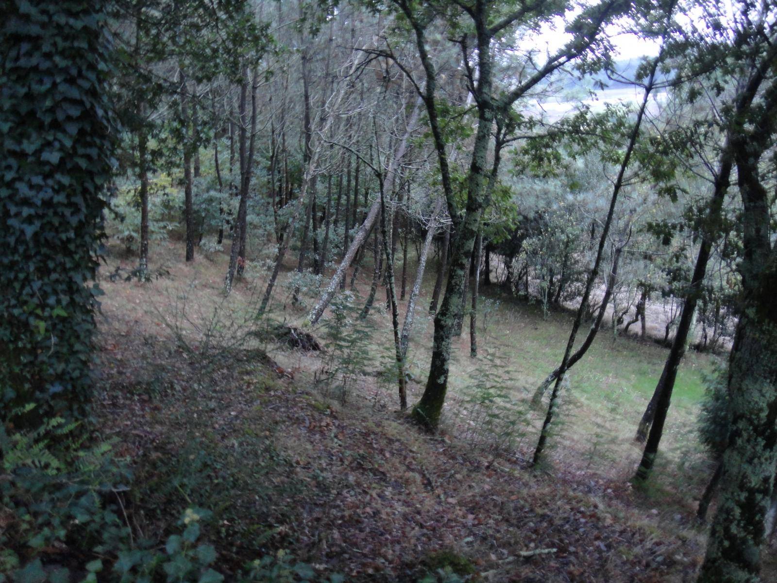 Building area for sale in Ames