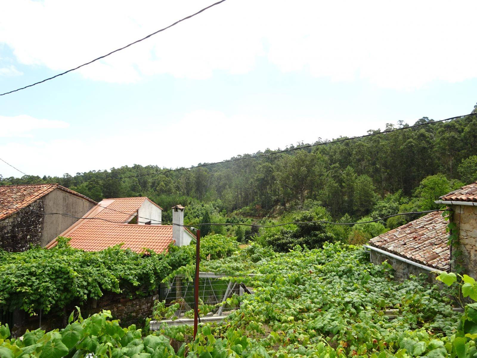 CASA DE PIEDRA A REFORMAR ZONA BASTAVALES, BRION