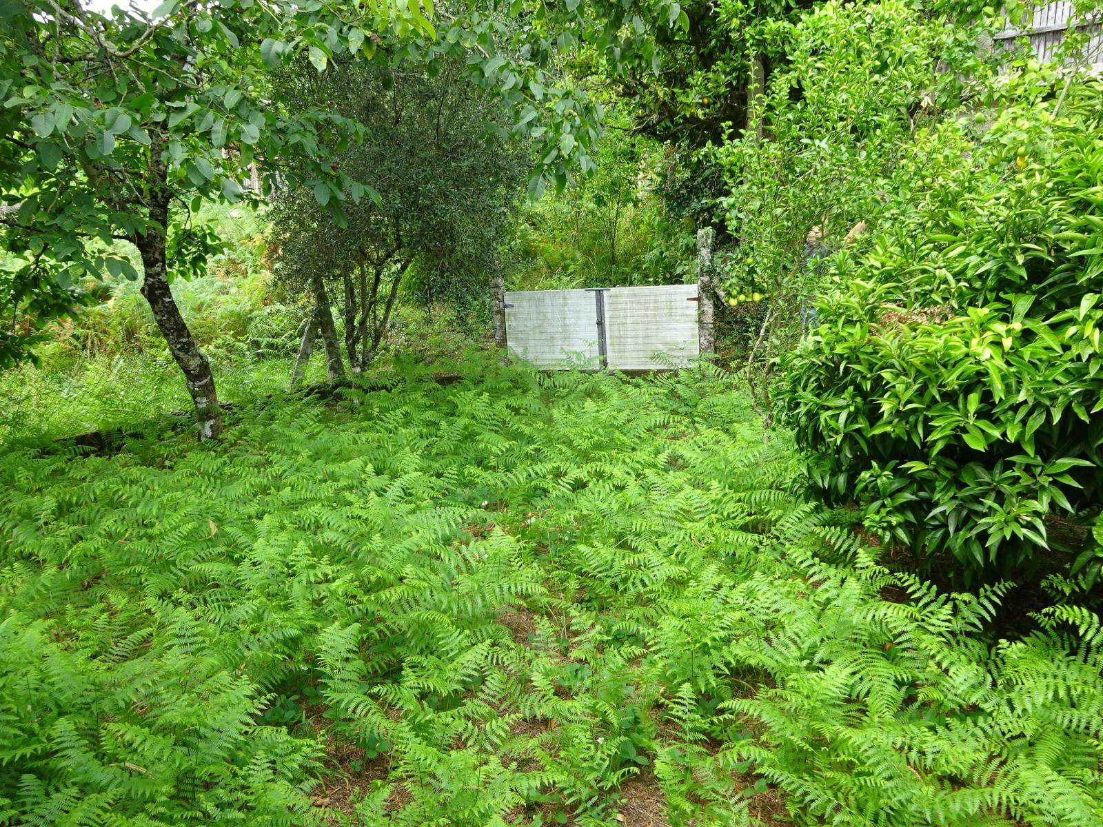 CASA DE PIEDRA A REFORMAR ZONA BASTAVALES, BRION