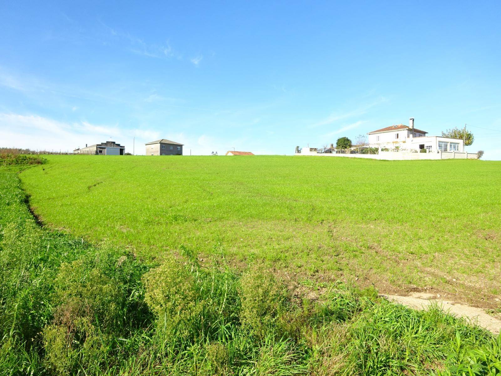 FINCA AMPLIA Y SOLEADA EN ZONA DE TAPIA, AMES