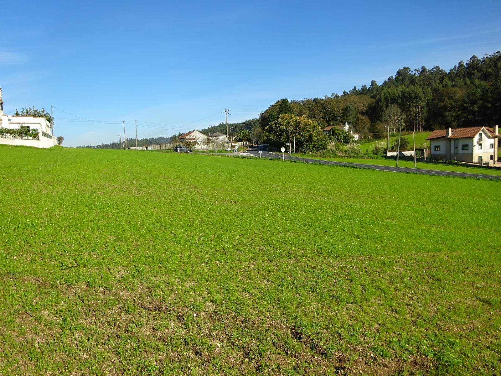FINCA AMPLIA Y SOLEADA EN ZONA DE TAPIA, AMES