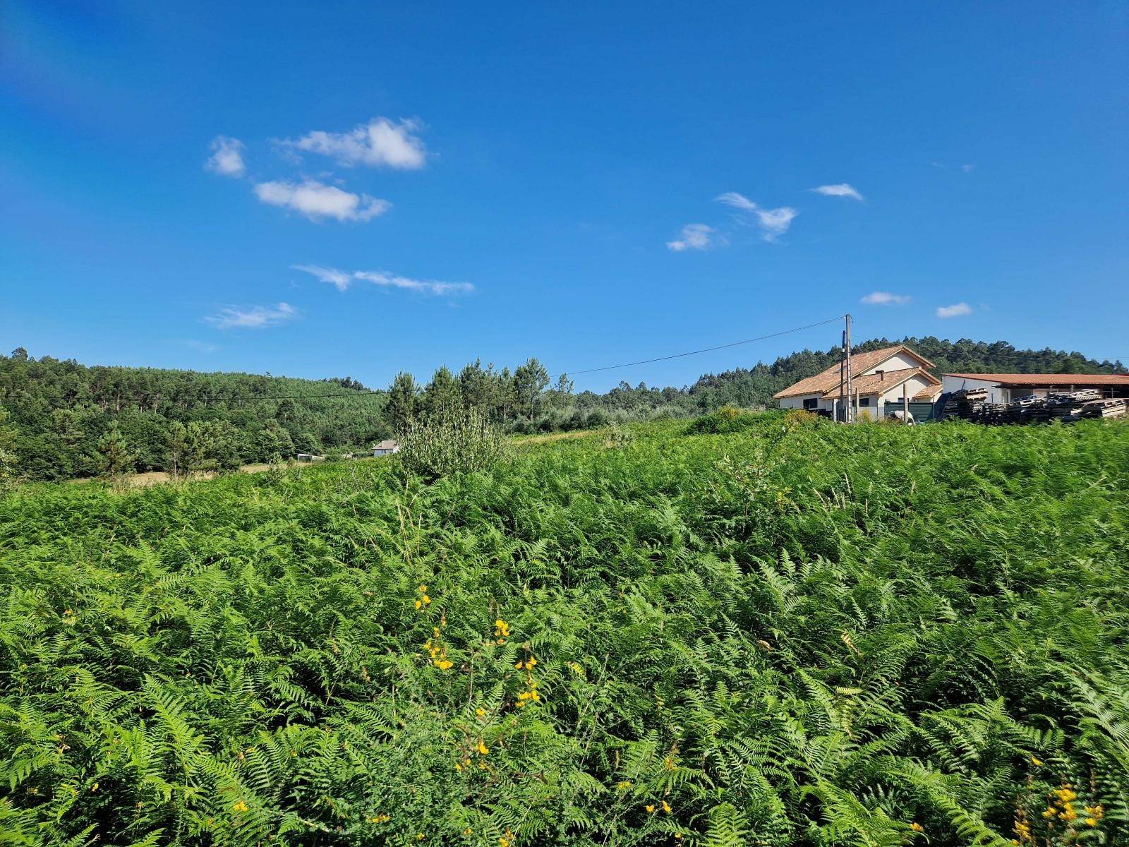 Terrain-à-bâtir en vente à Brión