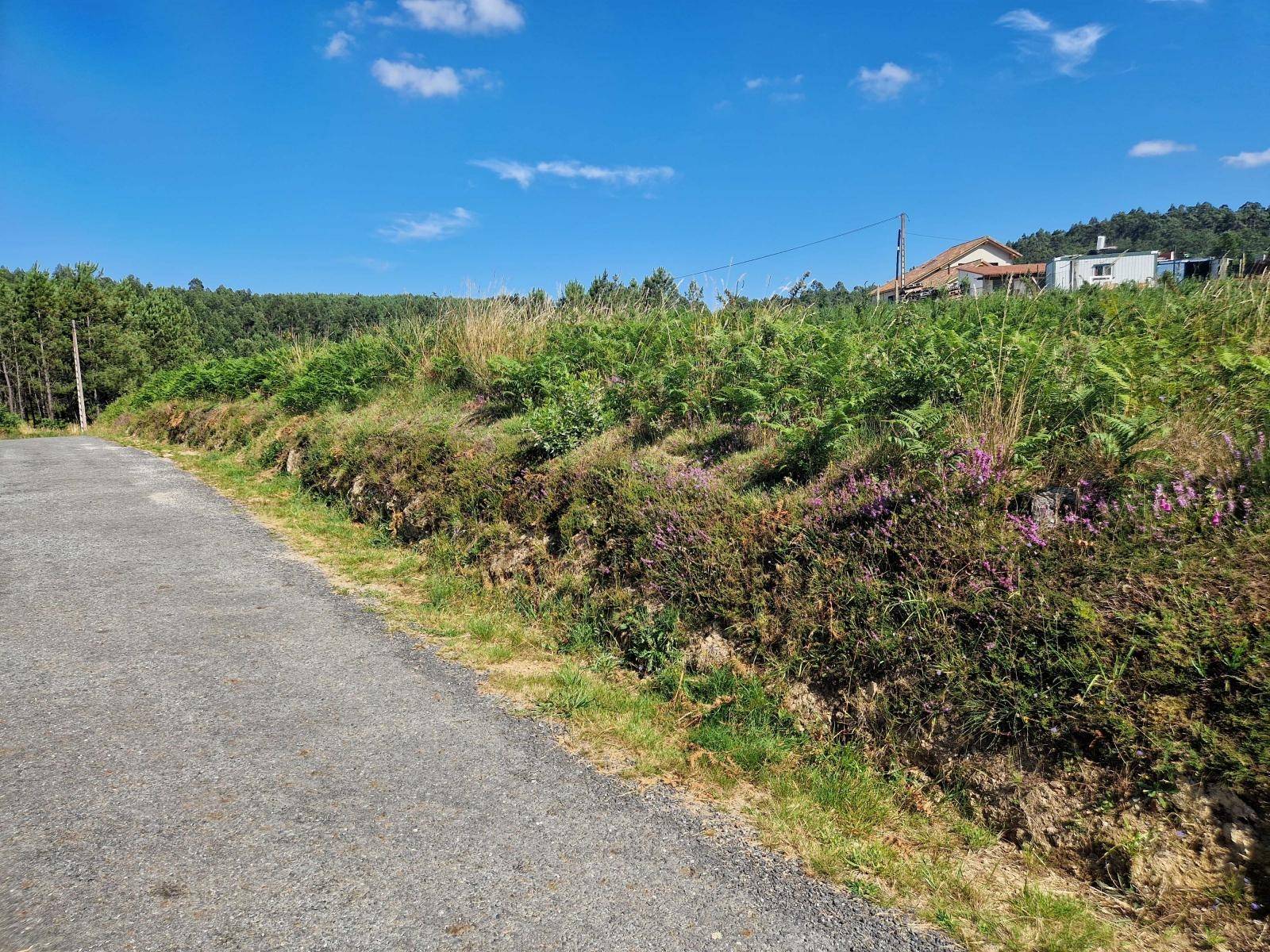 Terrain-à-bâtir en vente à Brión