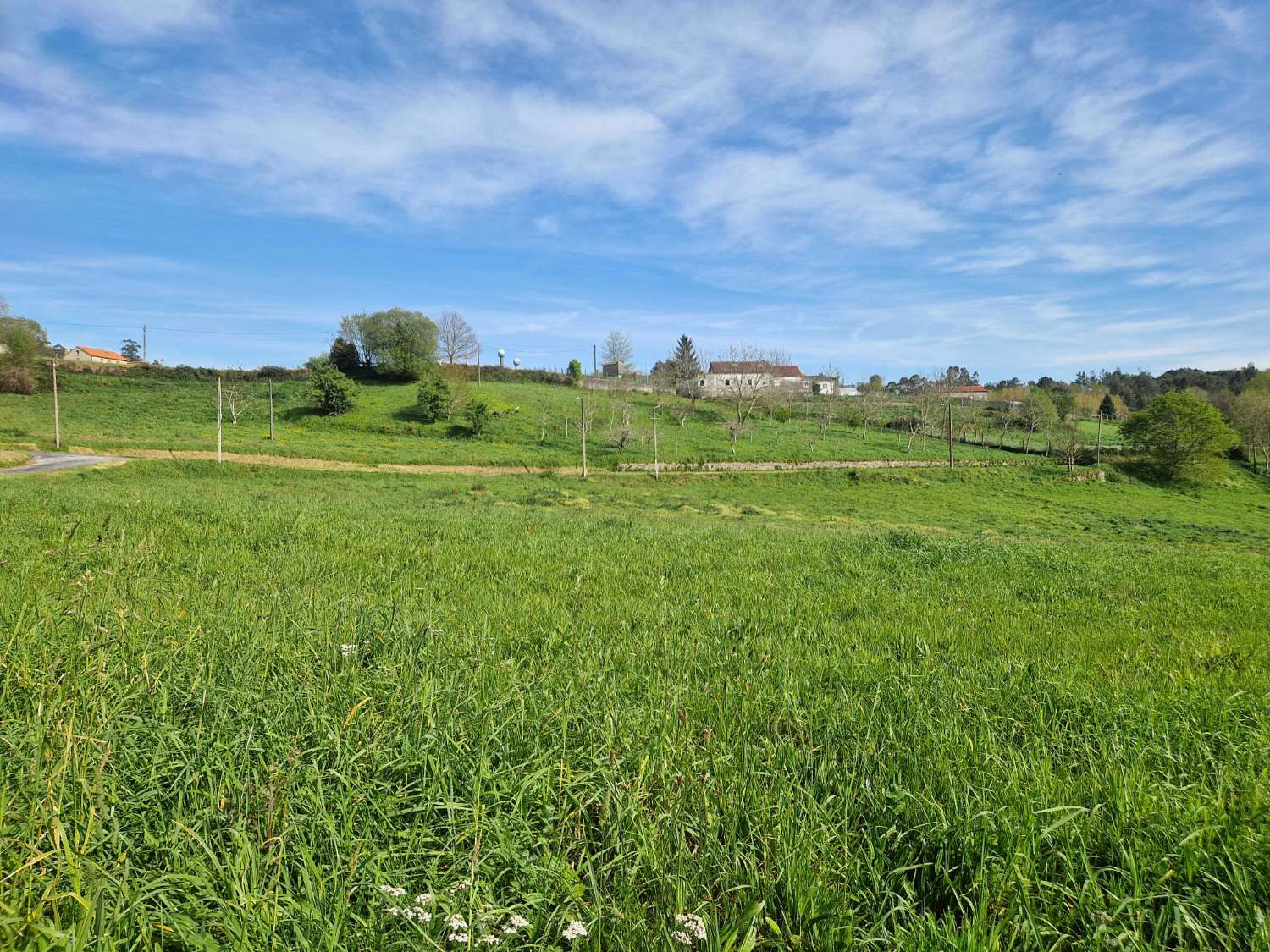 FINCA AMPLIA CON VISTAS EN ZONA TRANQUILA DE TRASMONTE, AMES