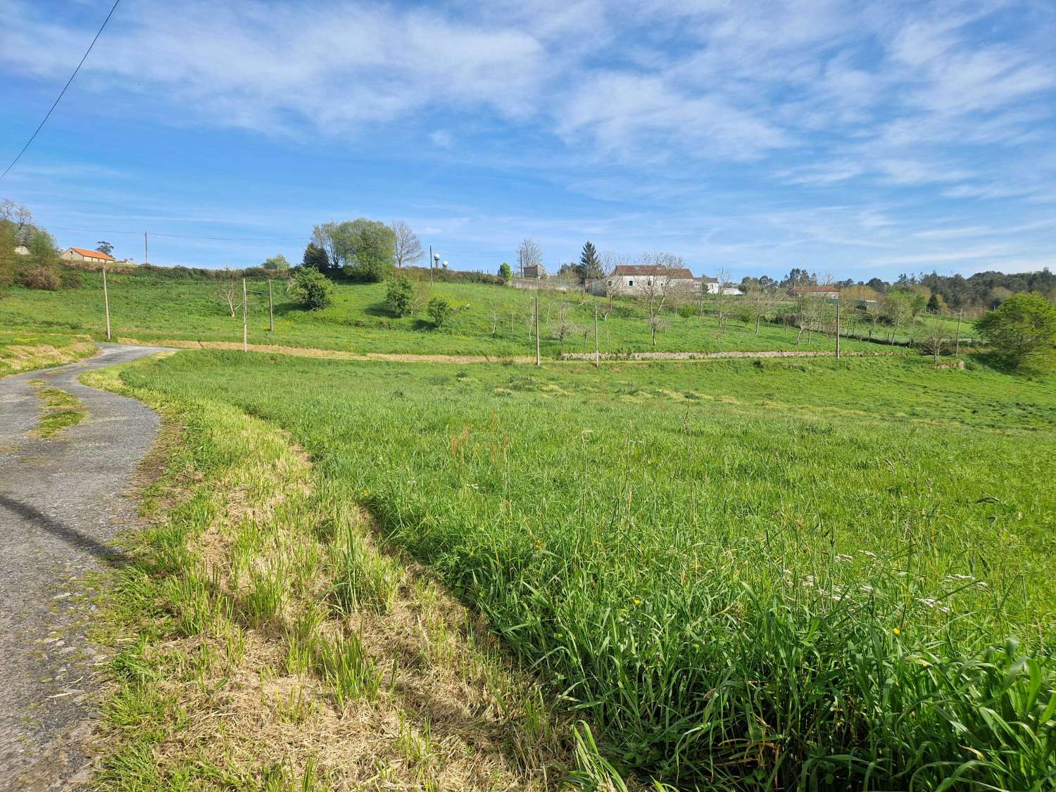 FINCA AMPLIA CON VISTAS EN ZONA TRANQUILA DE TRASMONTE, AMES