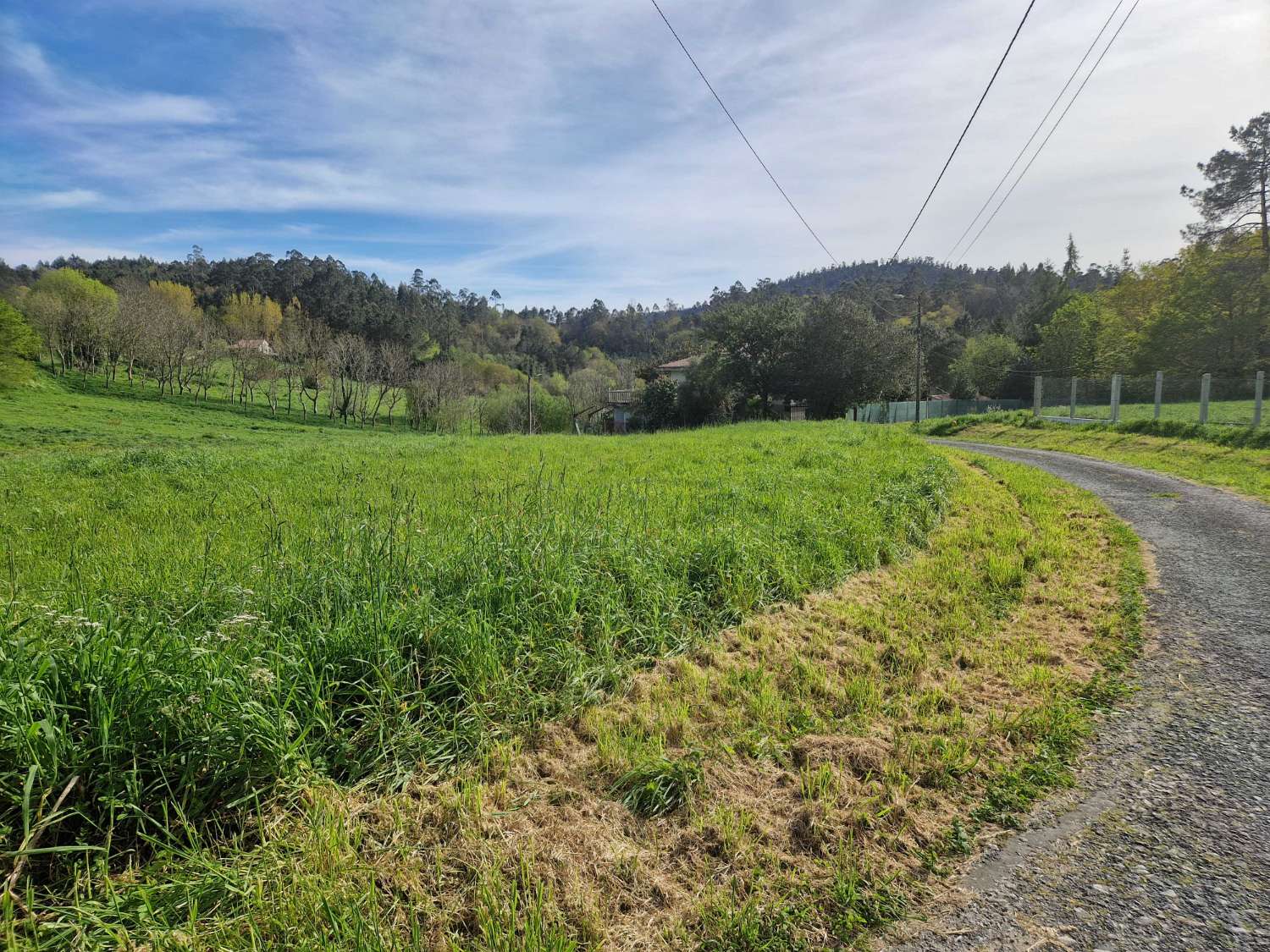 FINCA AMPLIA CON VISTAS EN ZONA TRANQUILA DE TRASMONTE, AMES