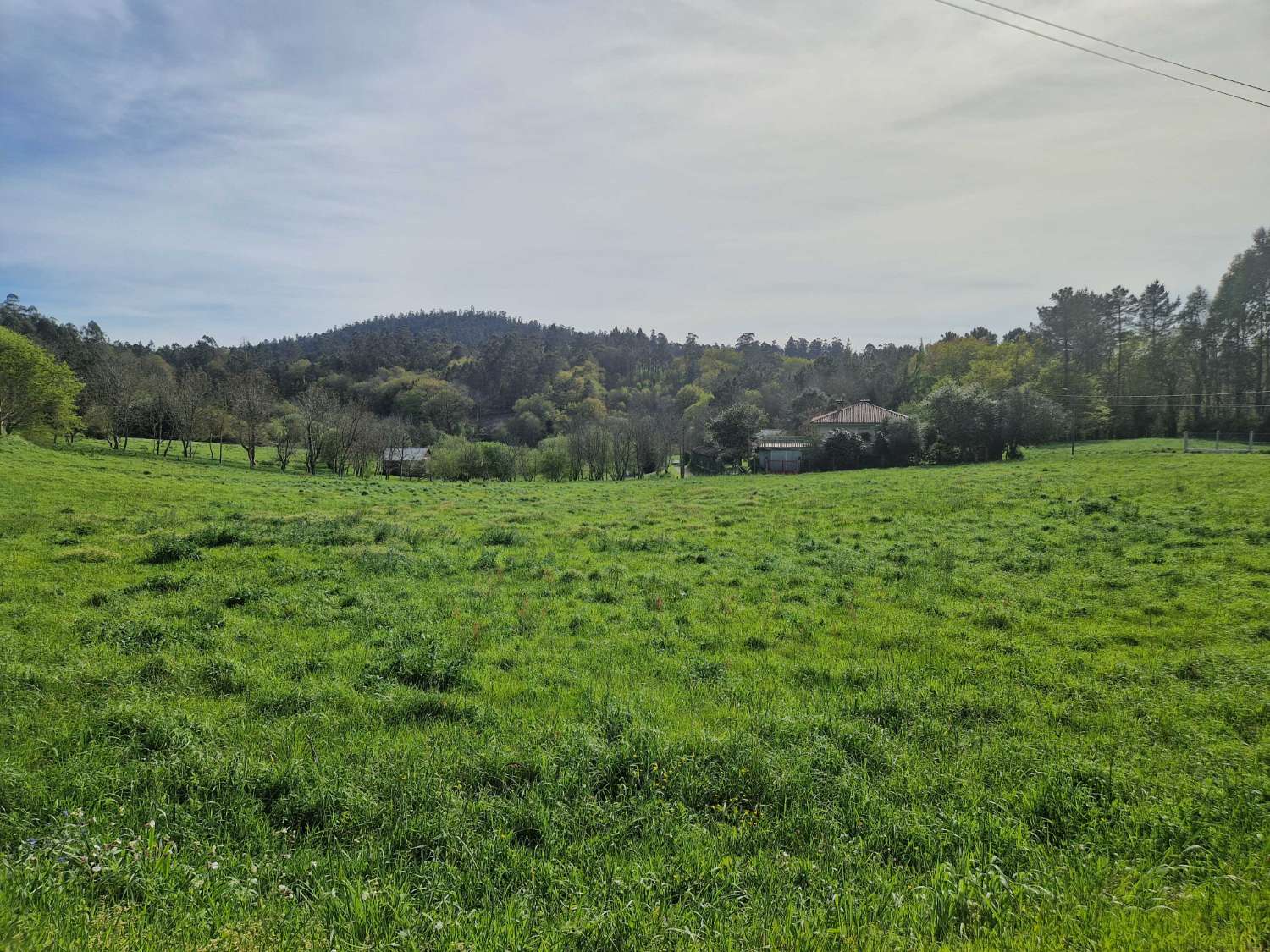 FINCA AMPLIA CON VISTAS EN ZONA TRANQUILA DE TRASMONTE, AMES