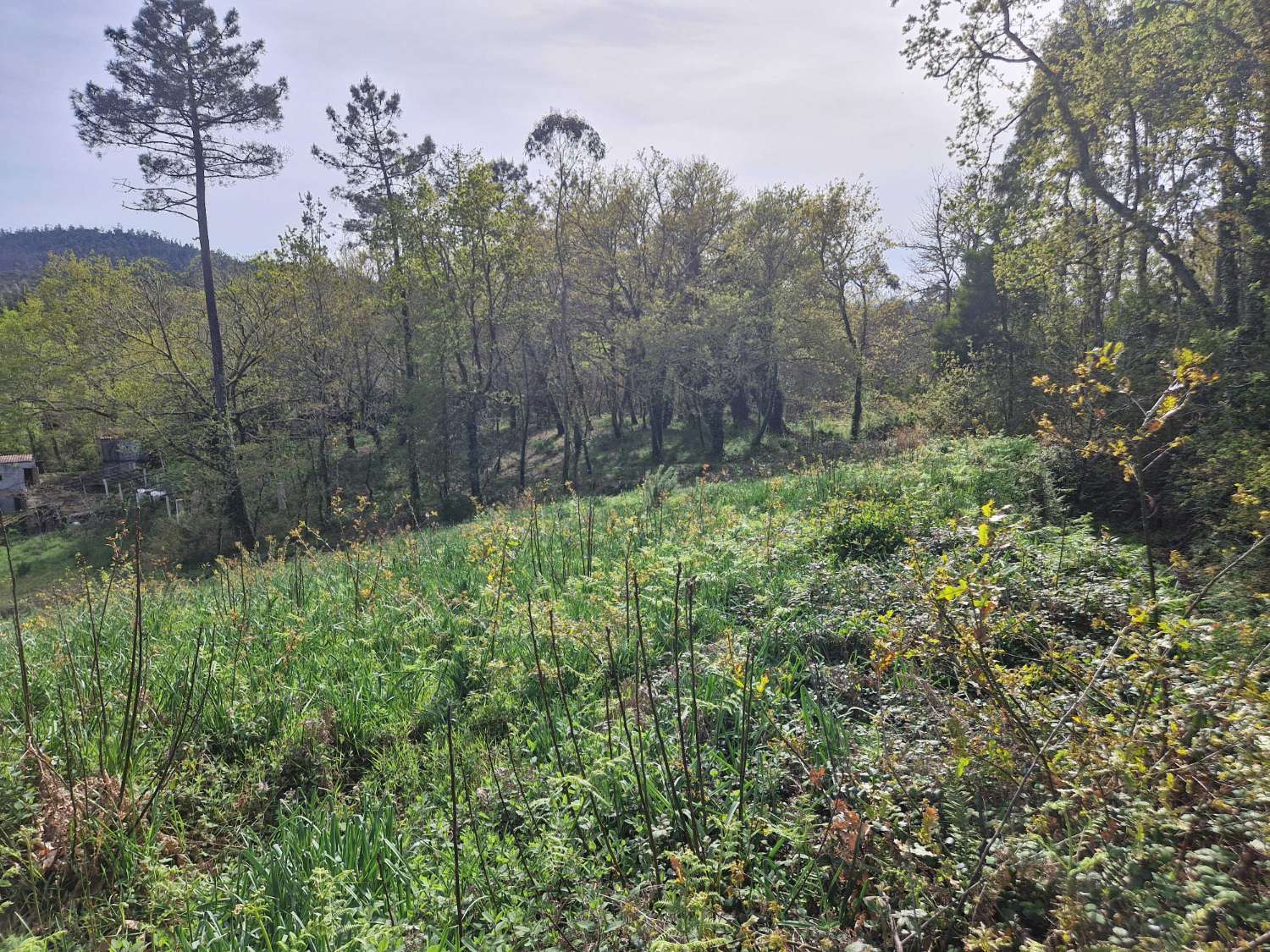 Building area for sale in Ames