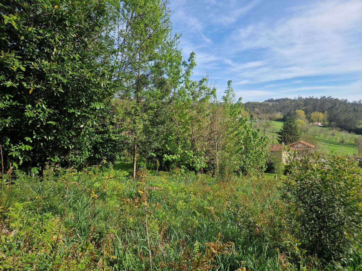 Building area for sale in Ames
