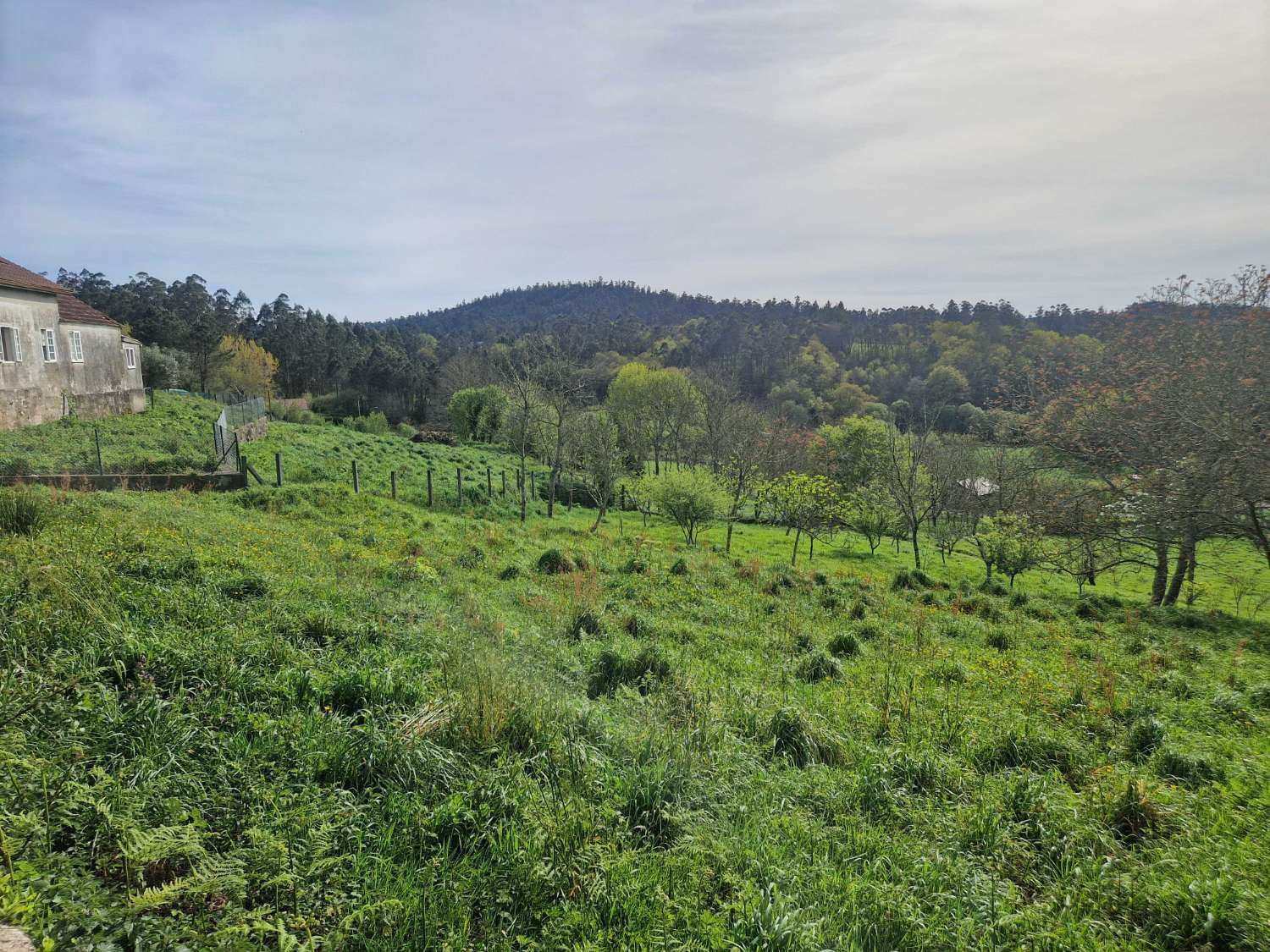Byggnadsområde till salu i Ames