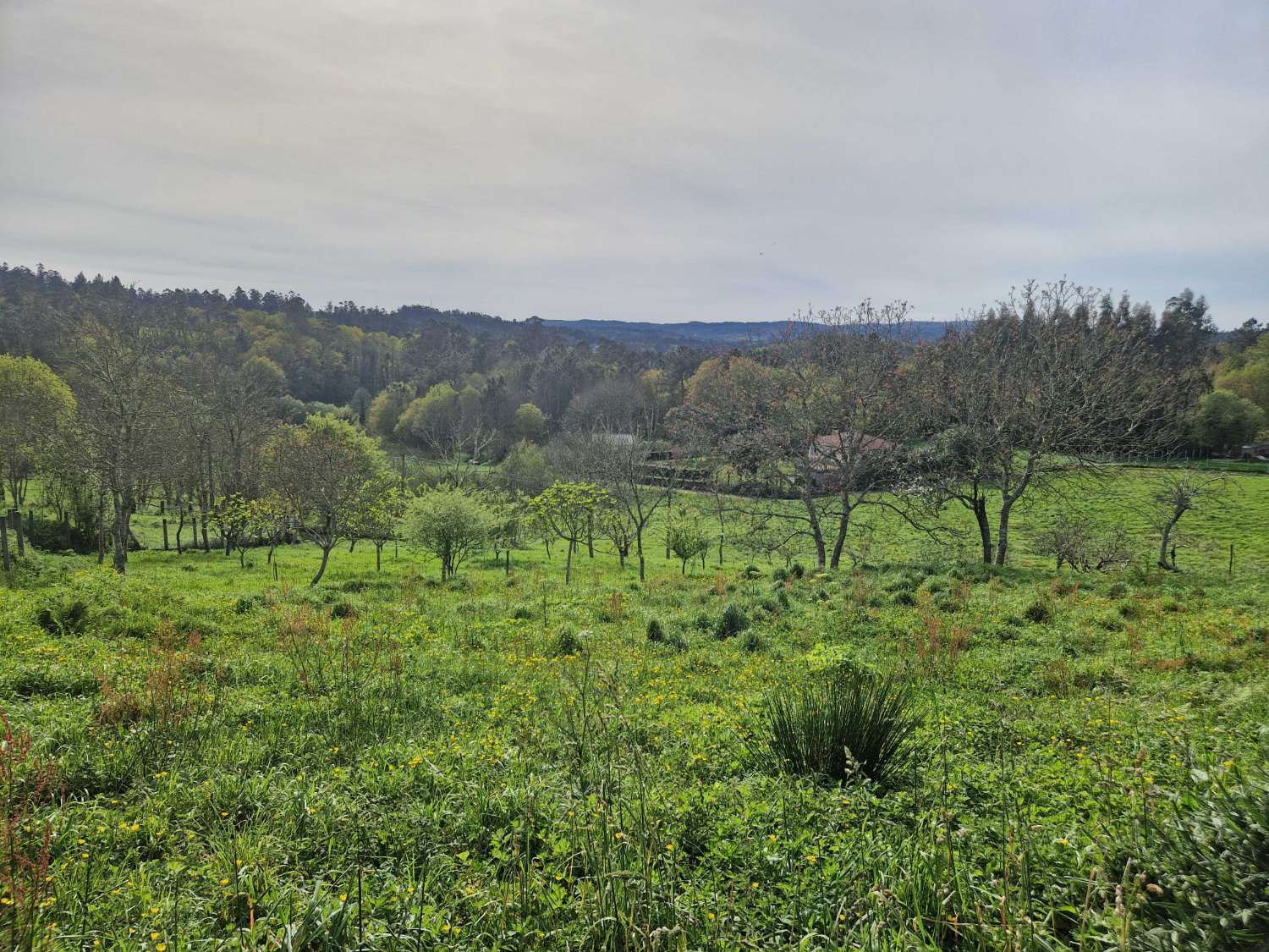 Byggnadsområde till salu i Ames