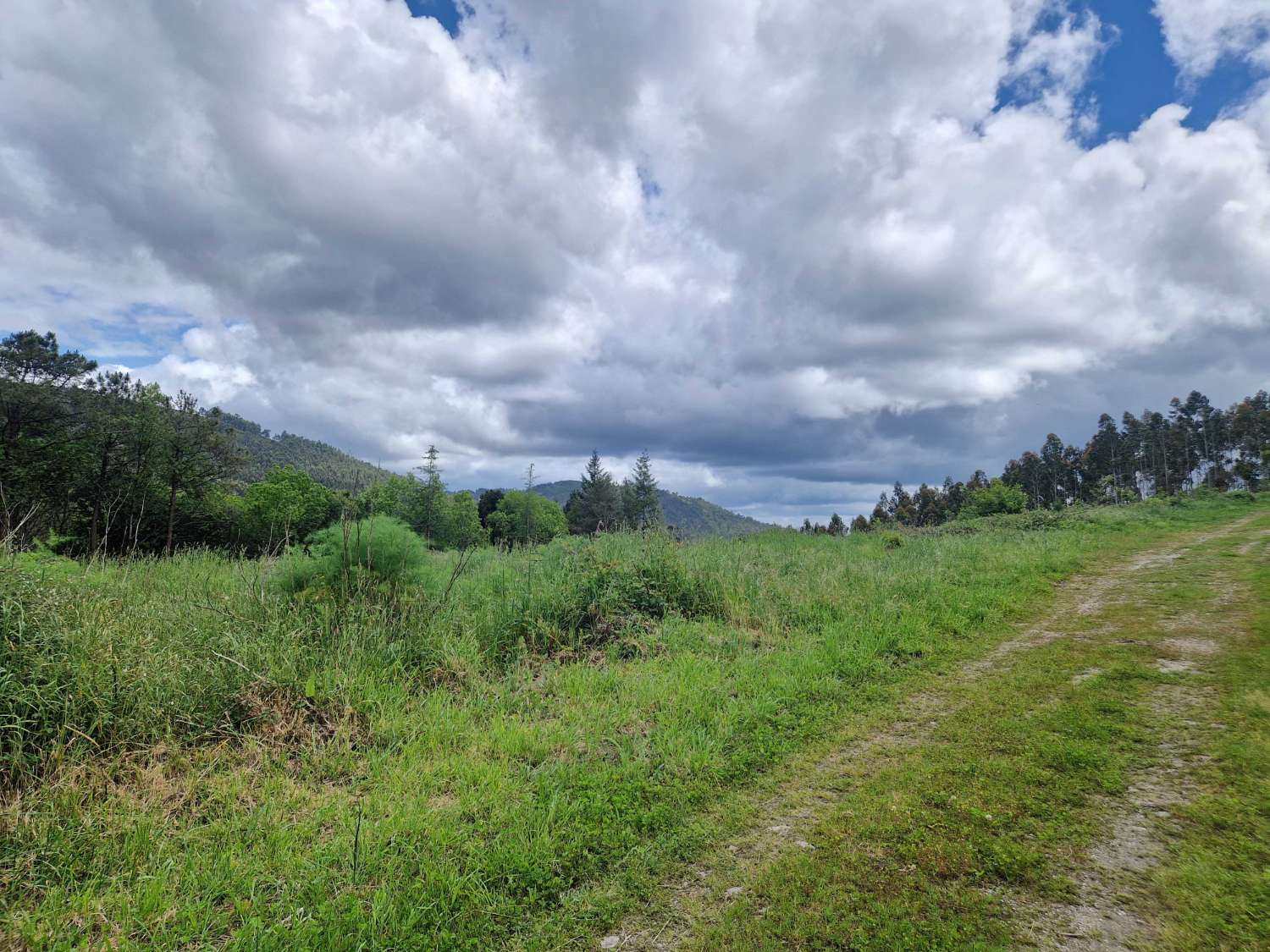 FINCA AMPLIA EN ZONA TRANQUILA DE TAPIA, AMES